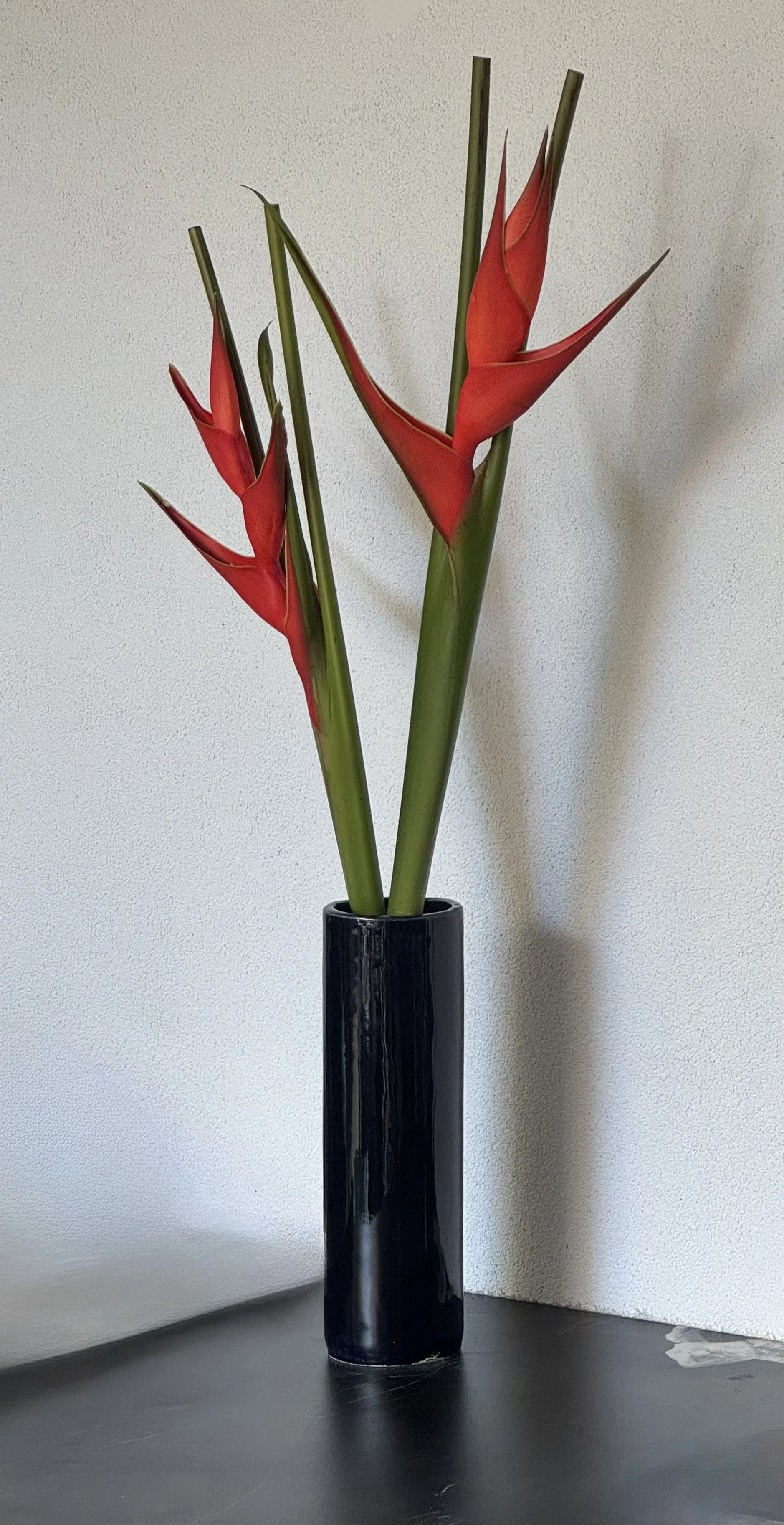 A tall black cylindrical vase holding three red and green tropical flowers, possibly Heliconia, placed on a dark surface against a plain white wall.
