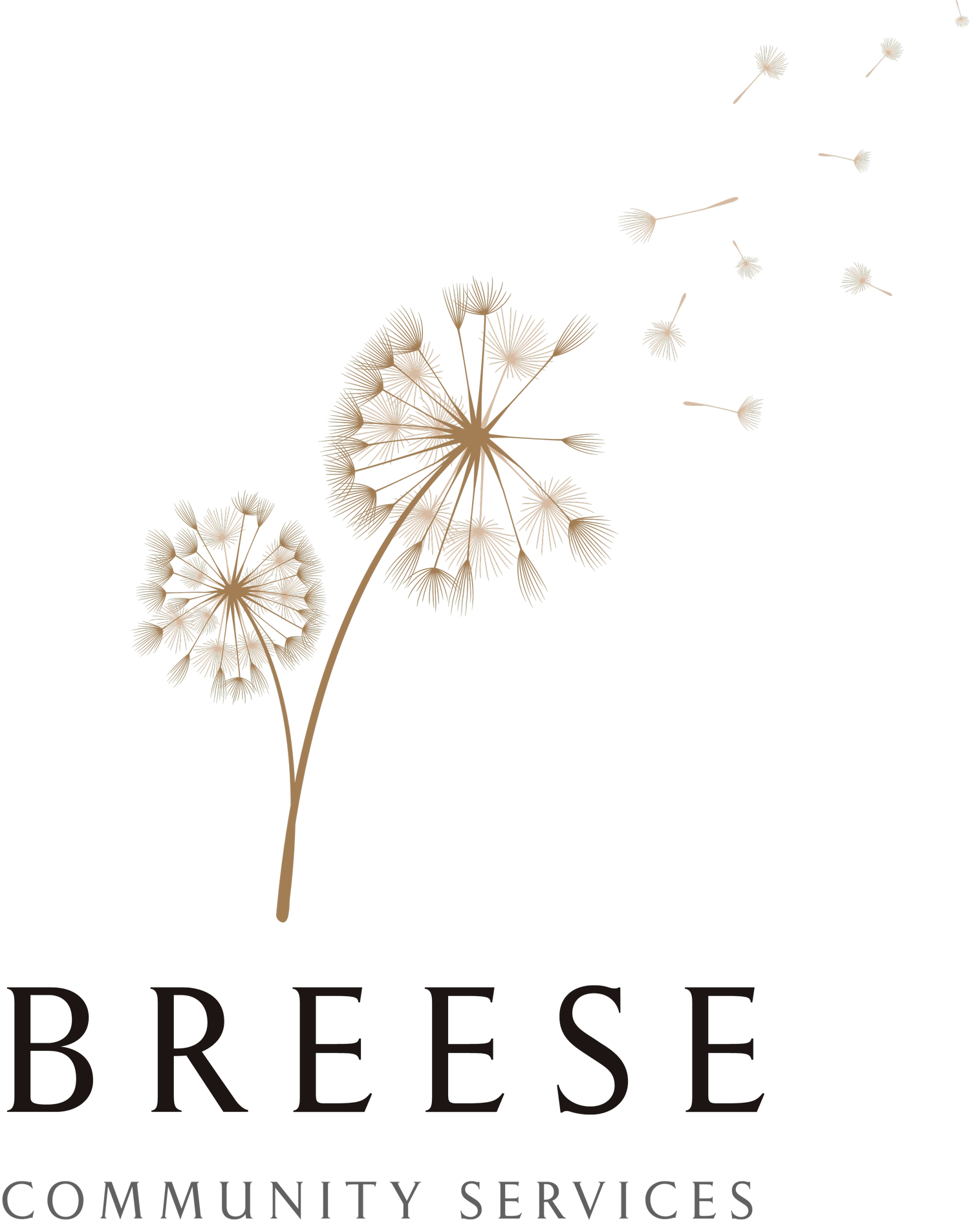 Breese Community Services