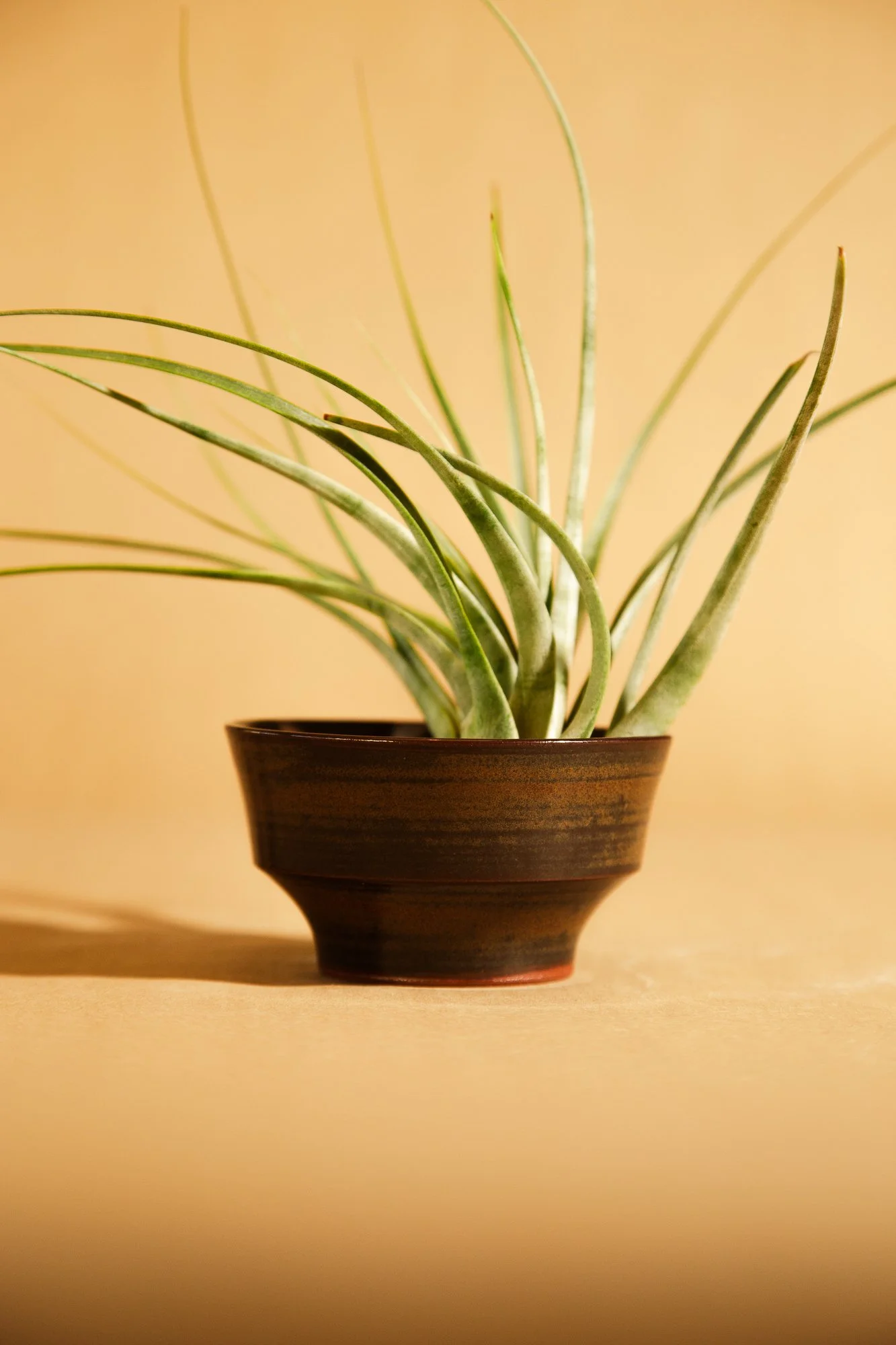 CeramicDirt@andresboterog_ (70 of 89).JPG