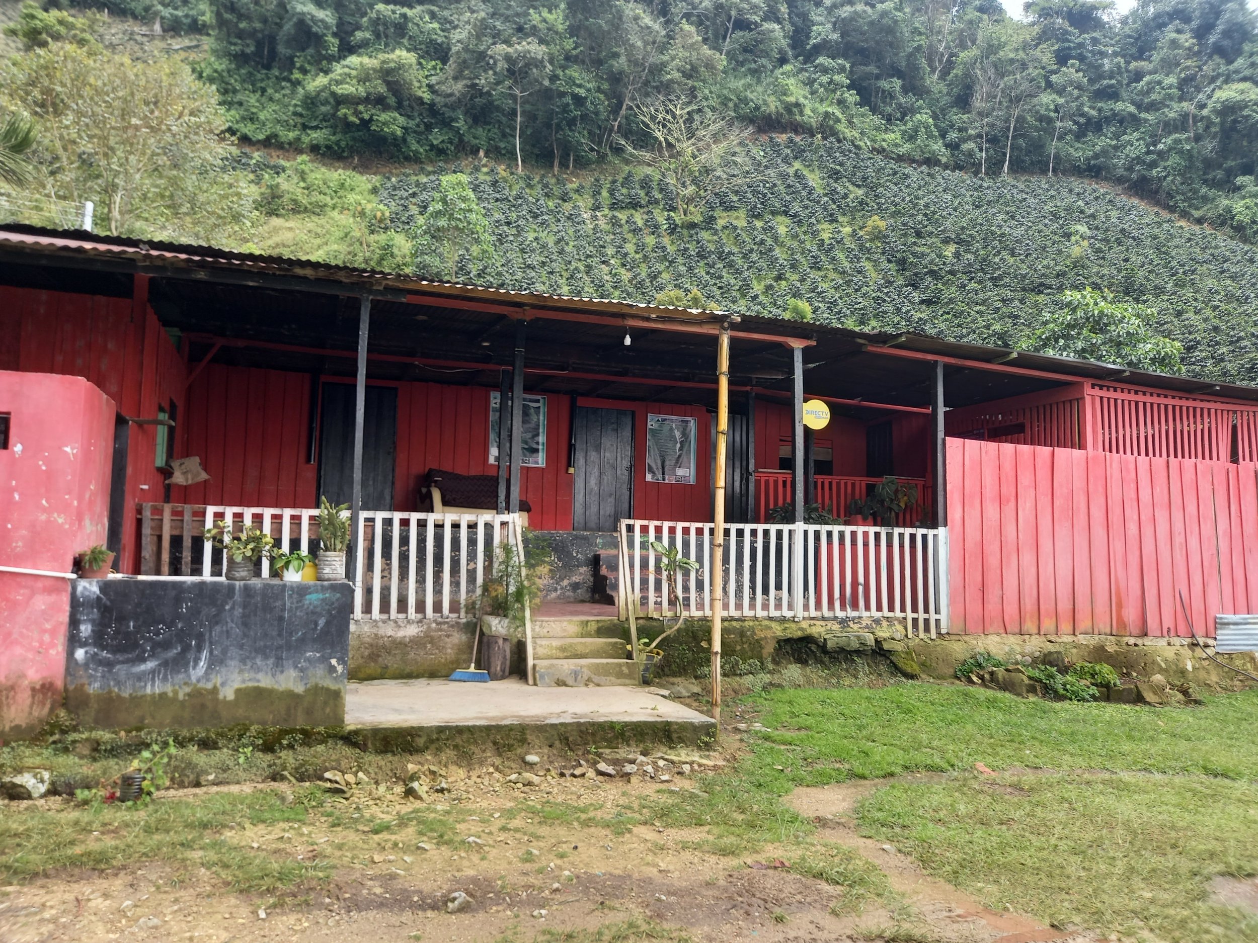 NOE OYOLA POSADA VRD. EL CAIRO ATACO FINCA ROSAS BLANCAS.jpg