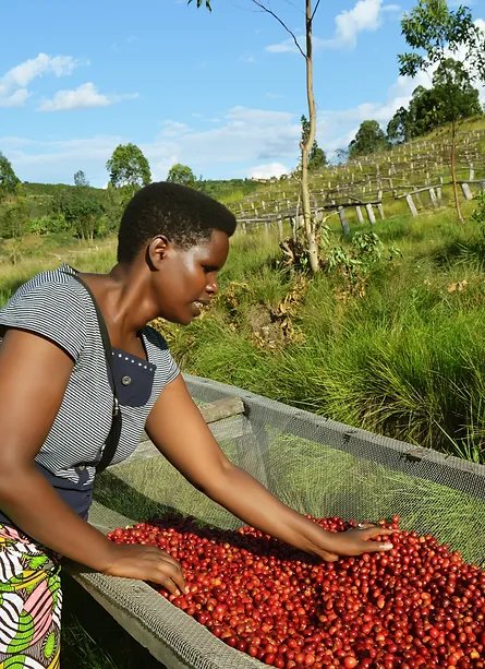 Burundi