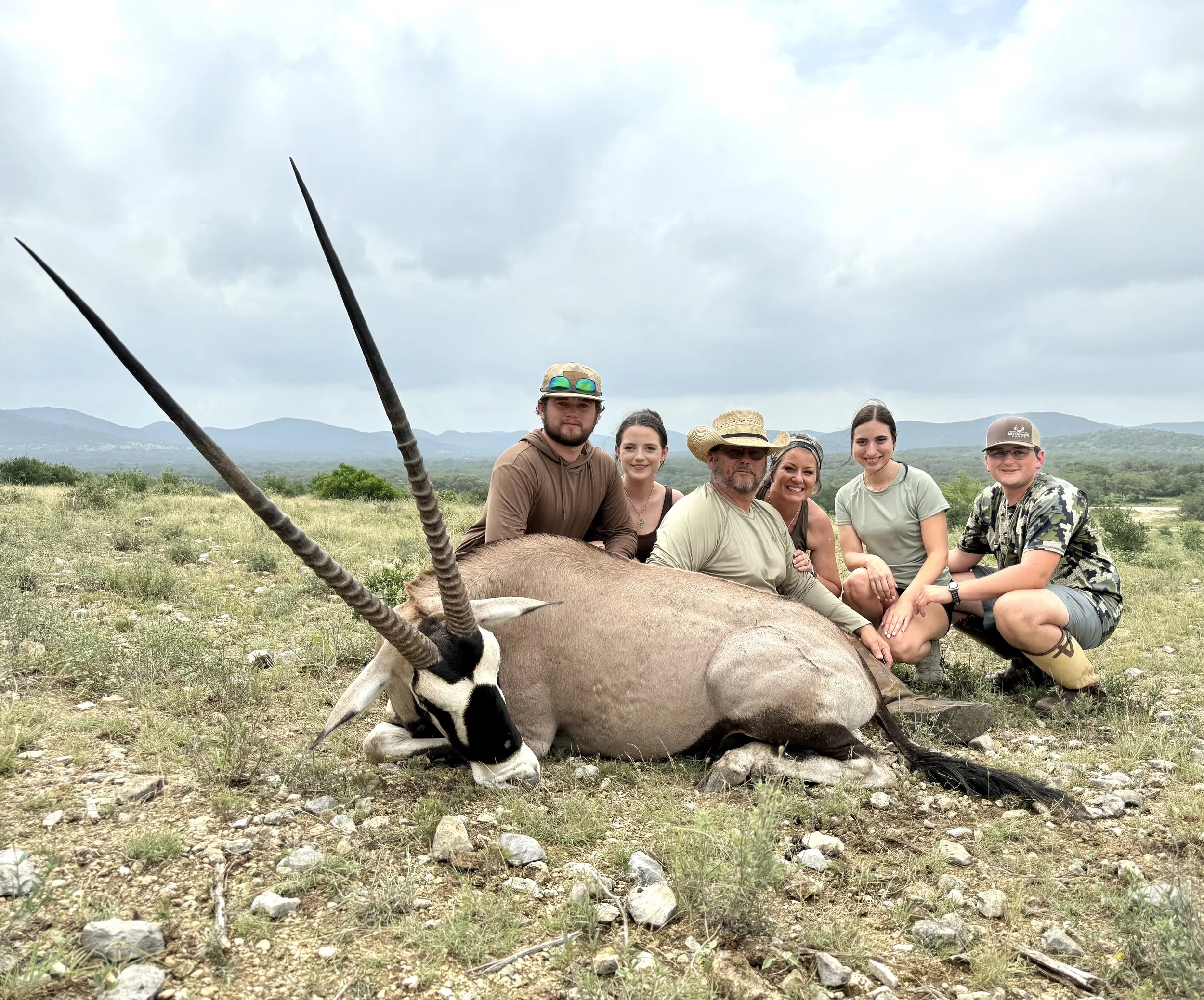 Gemsbok