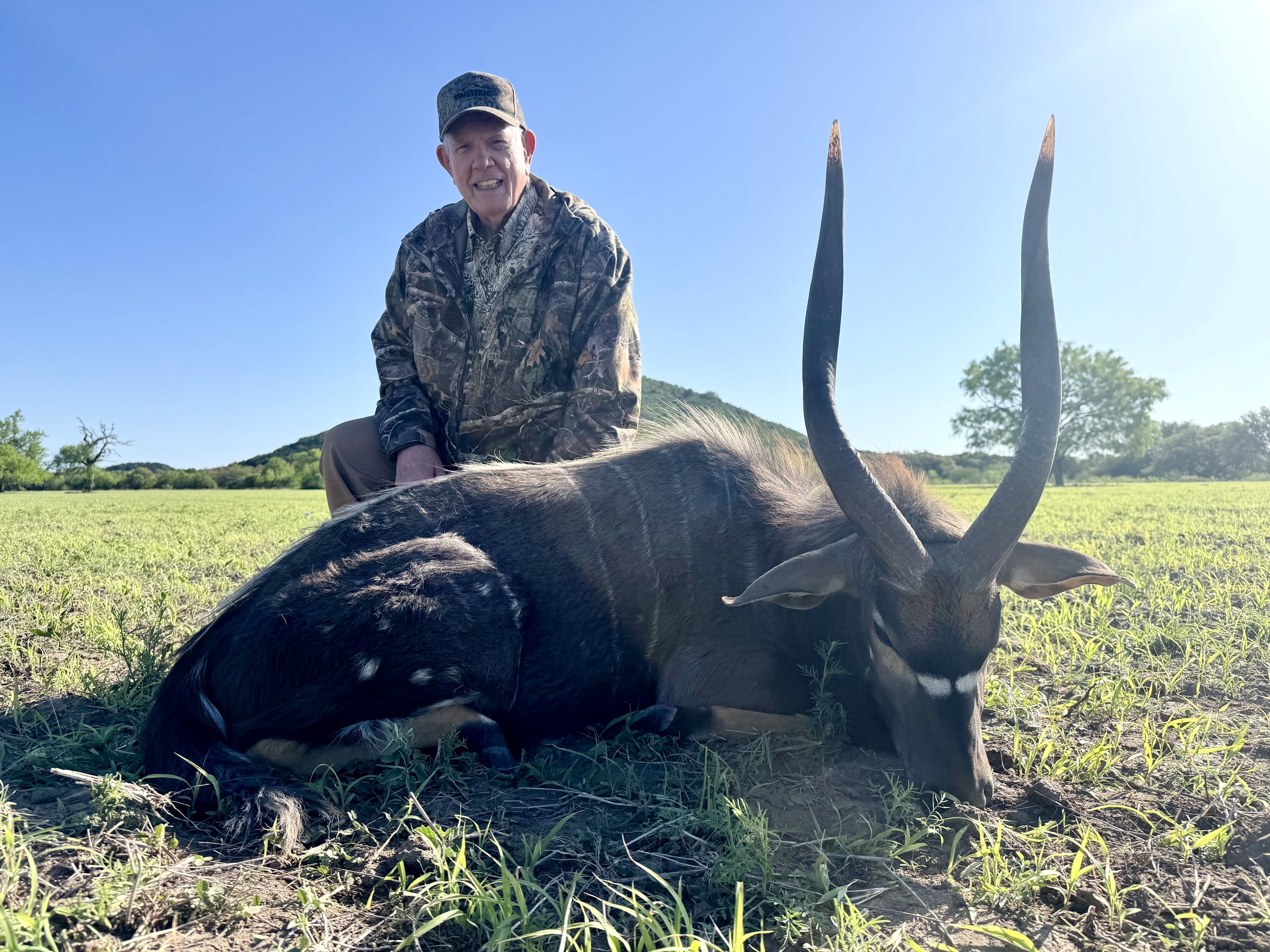 Nyala