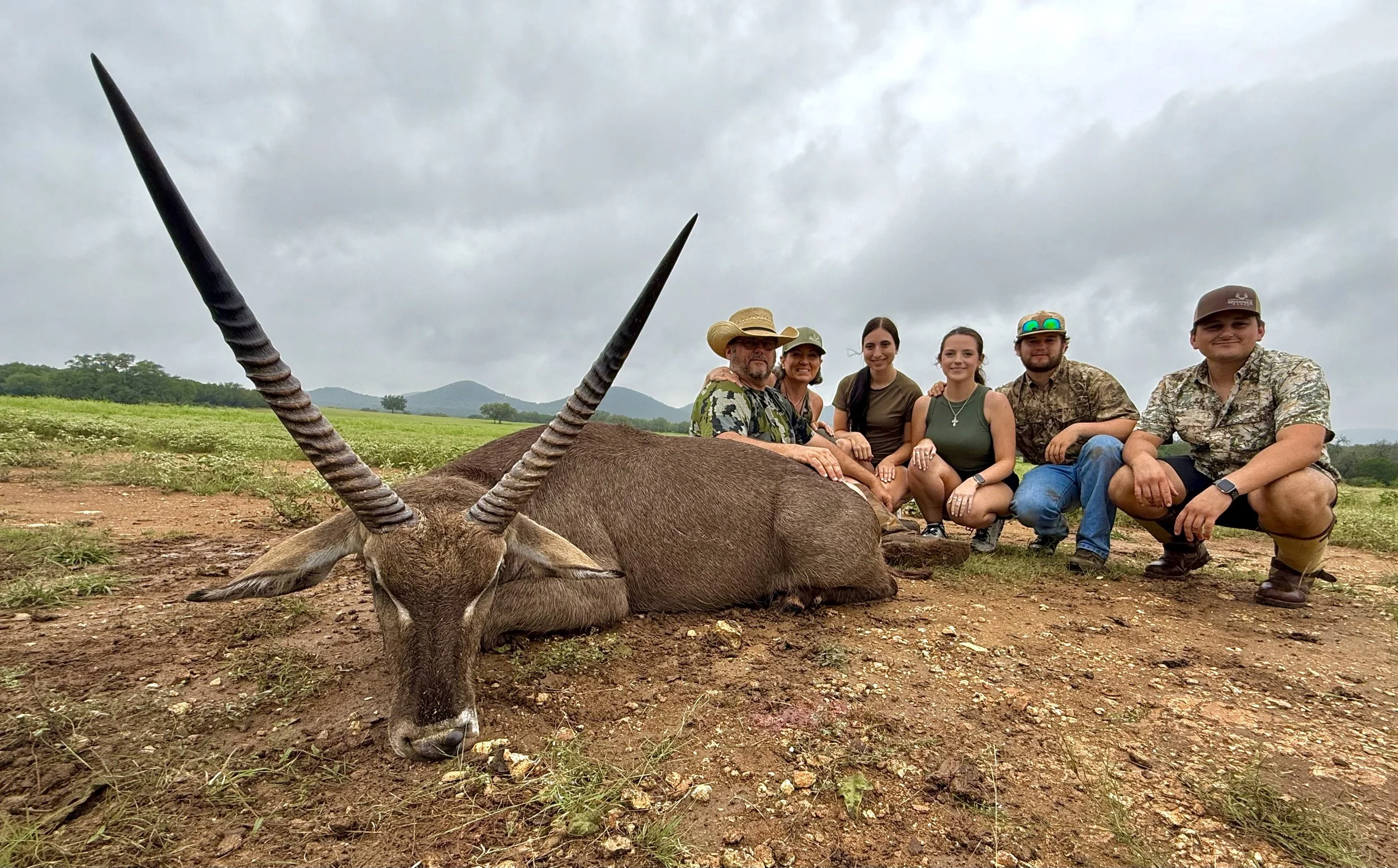 Waterbuck