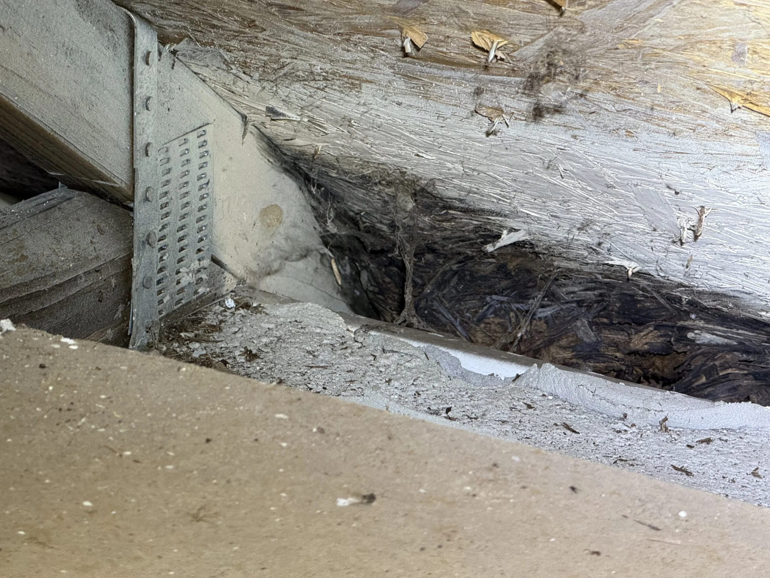 Corroded truss connector plate in attic showing moisture damage