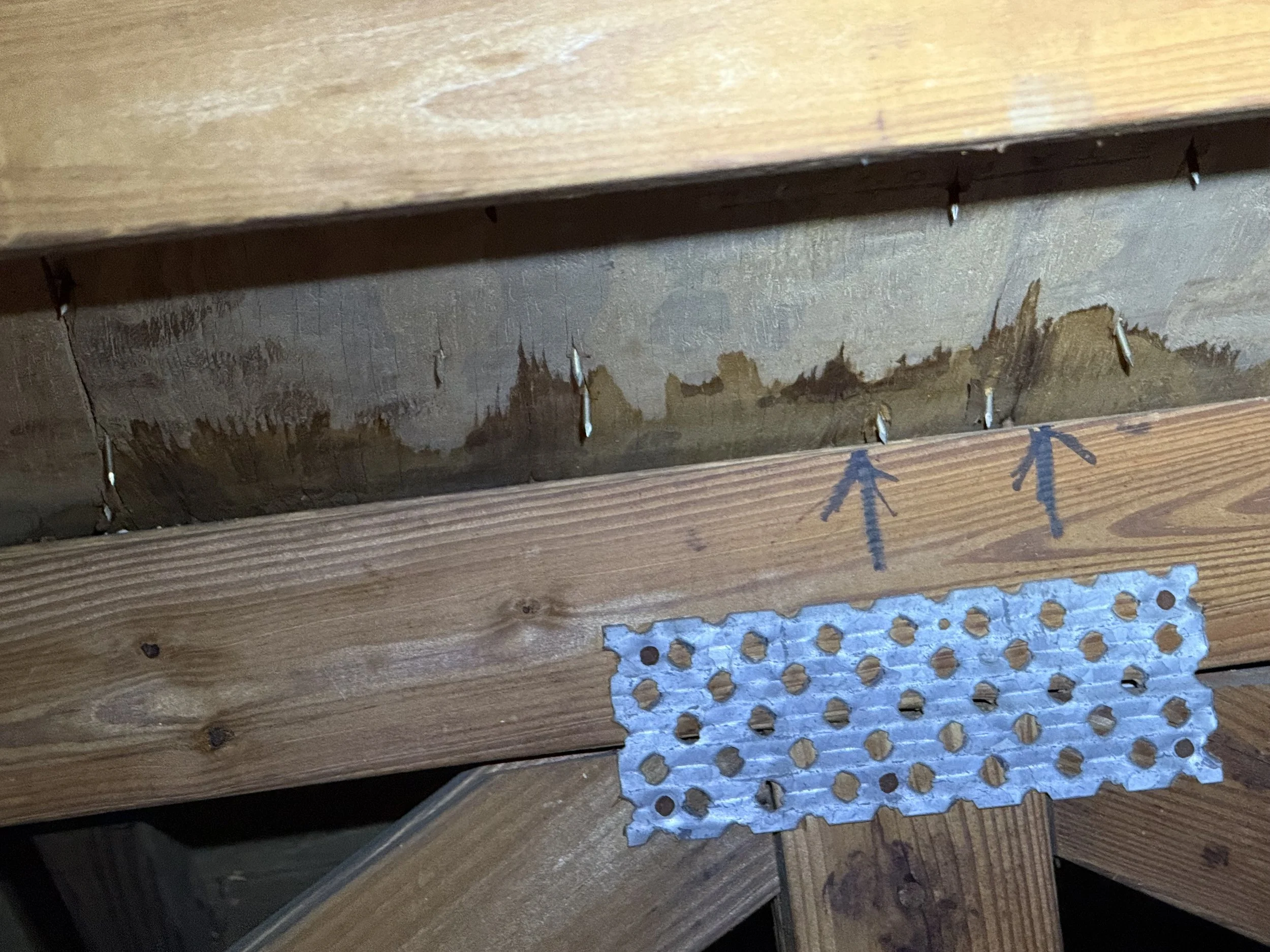 Water staining and structural damage on roof rafters from long-term leak