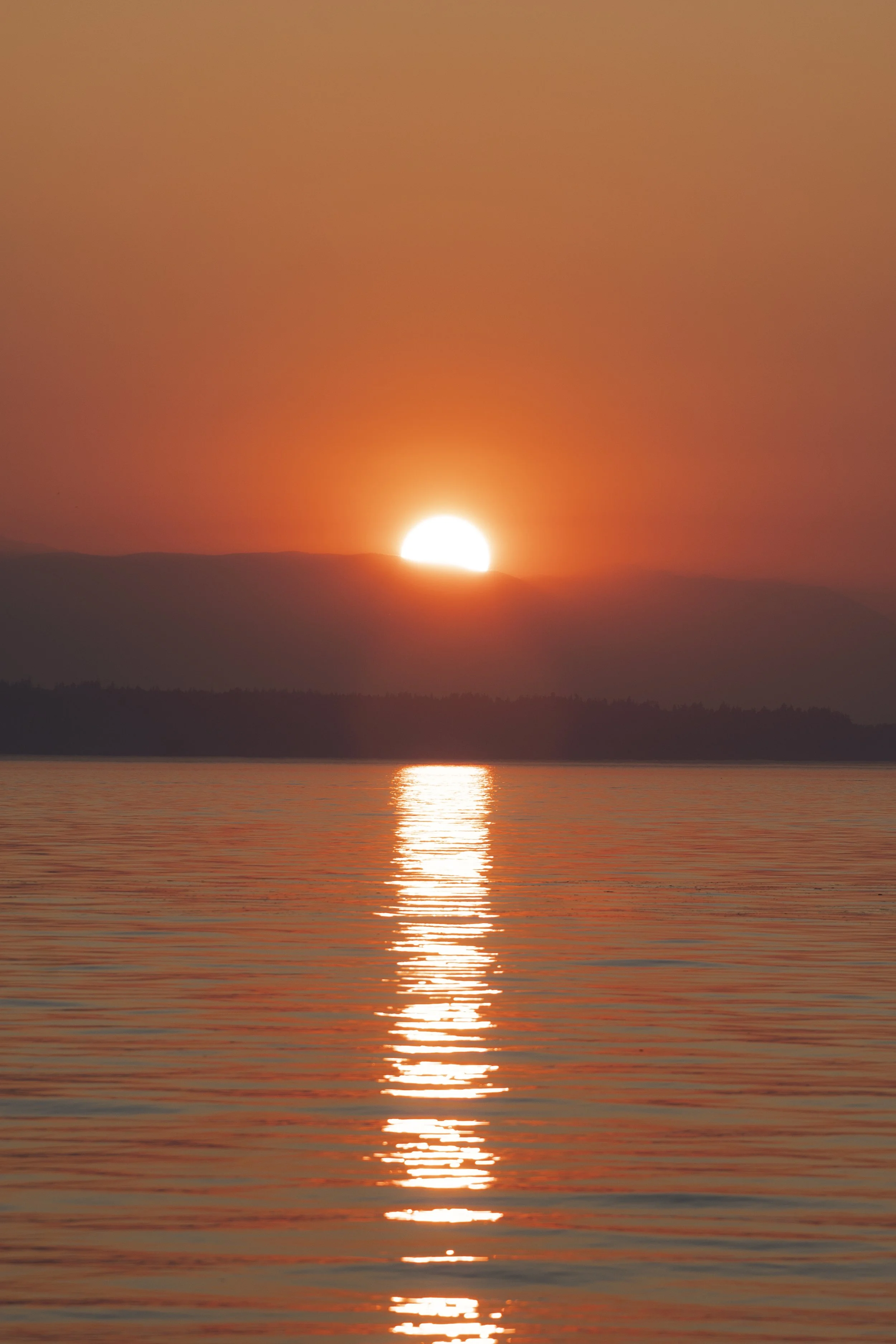 DSC01055.jpg