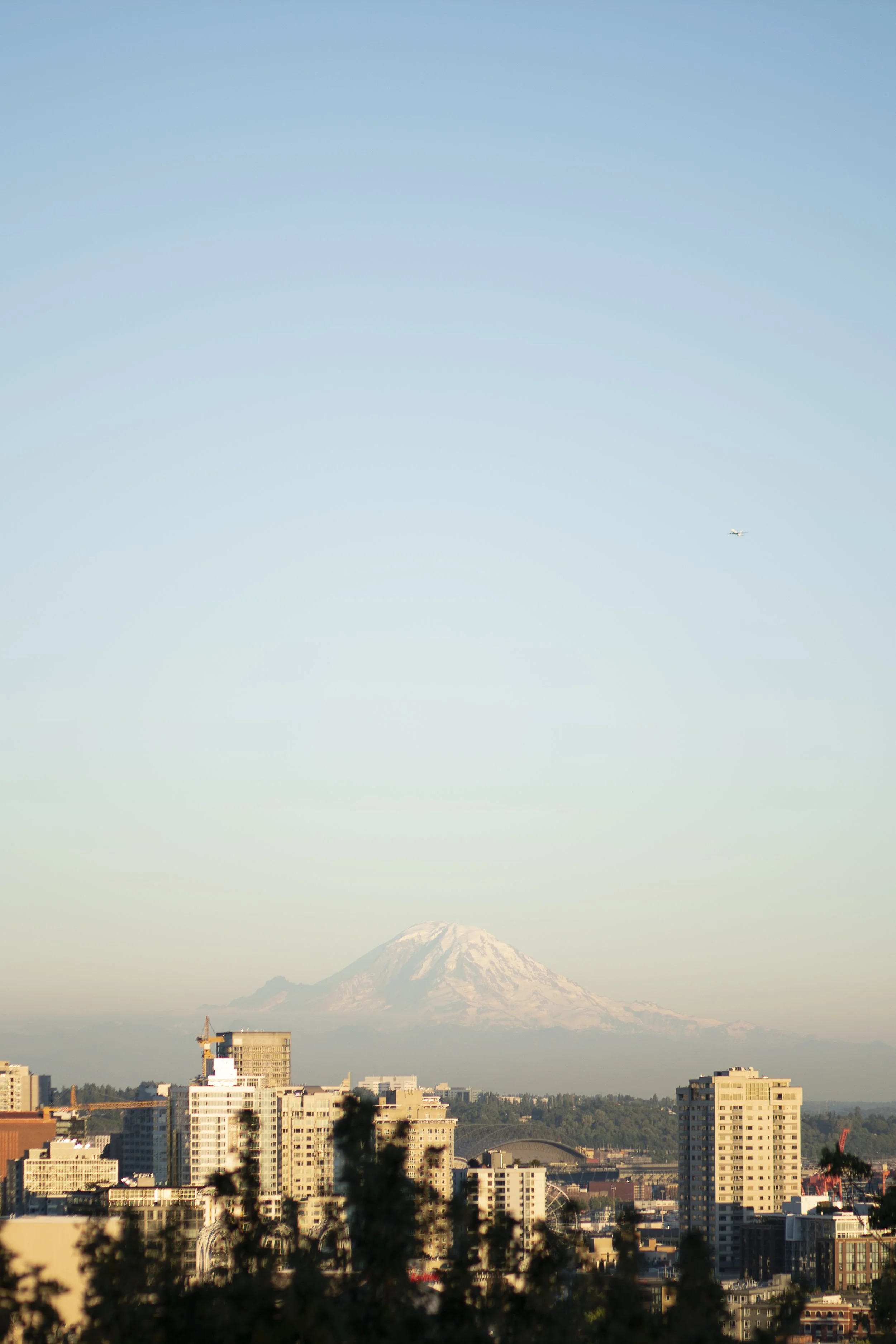 DSC01175.jpg