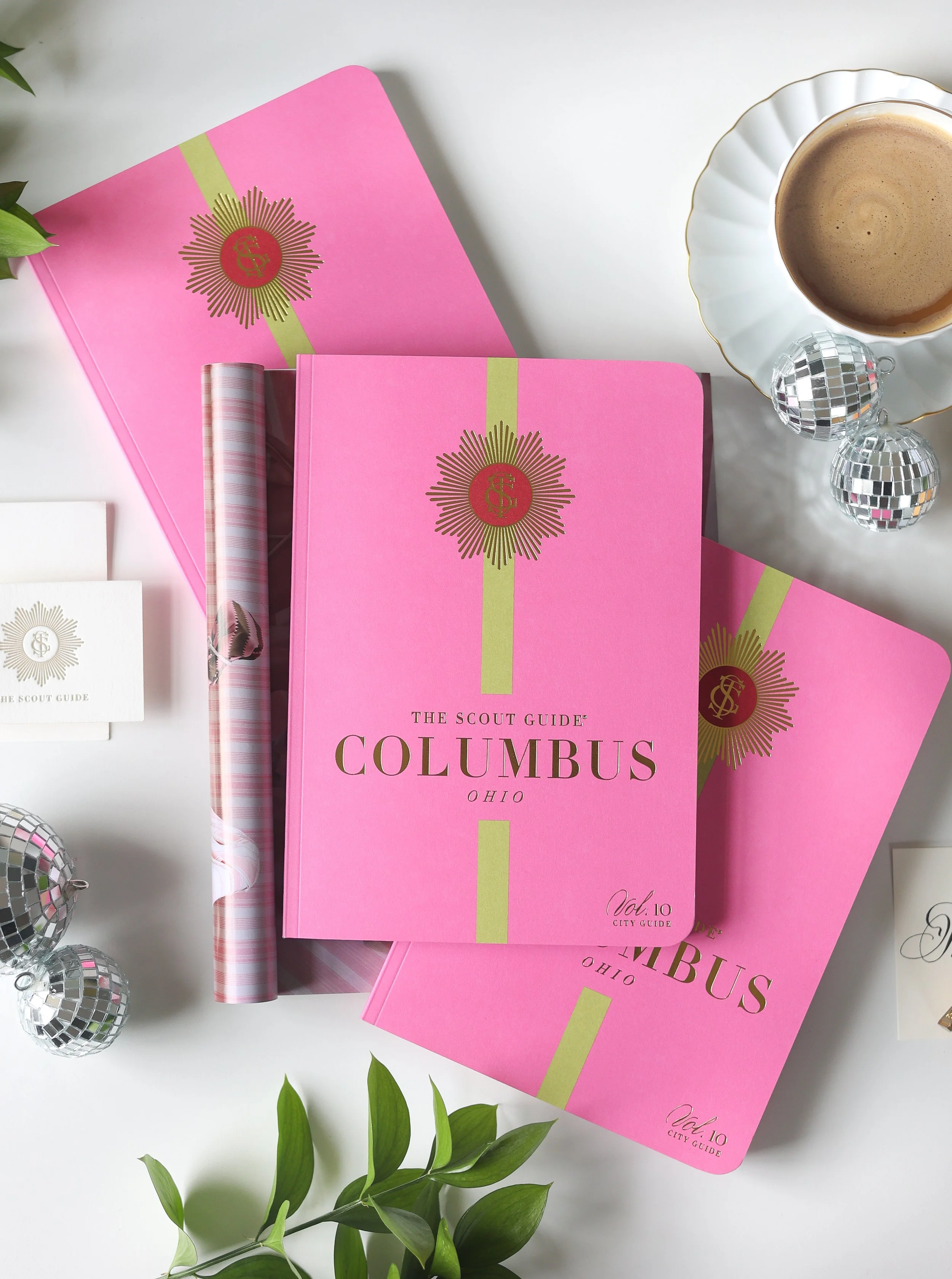 The Scout Guide, Volume 10 Feature