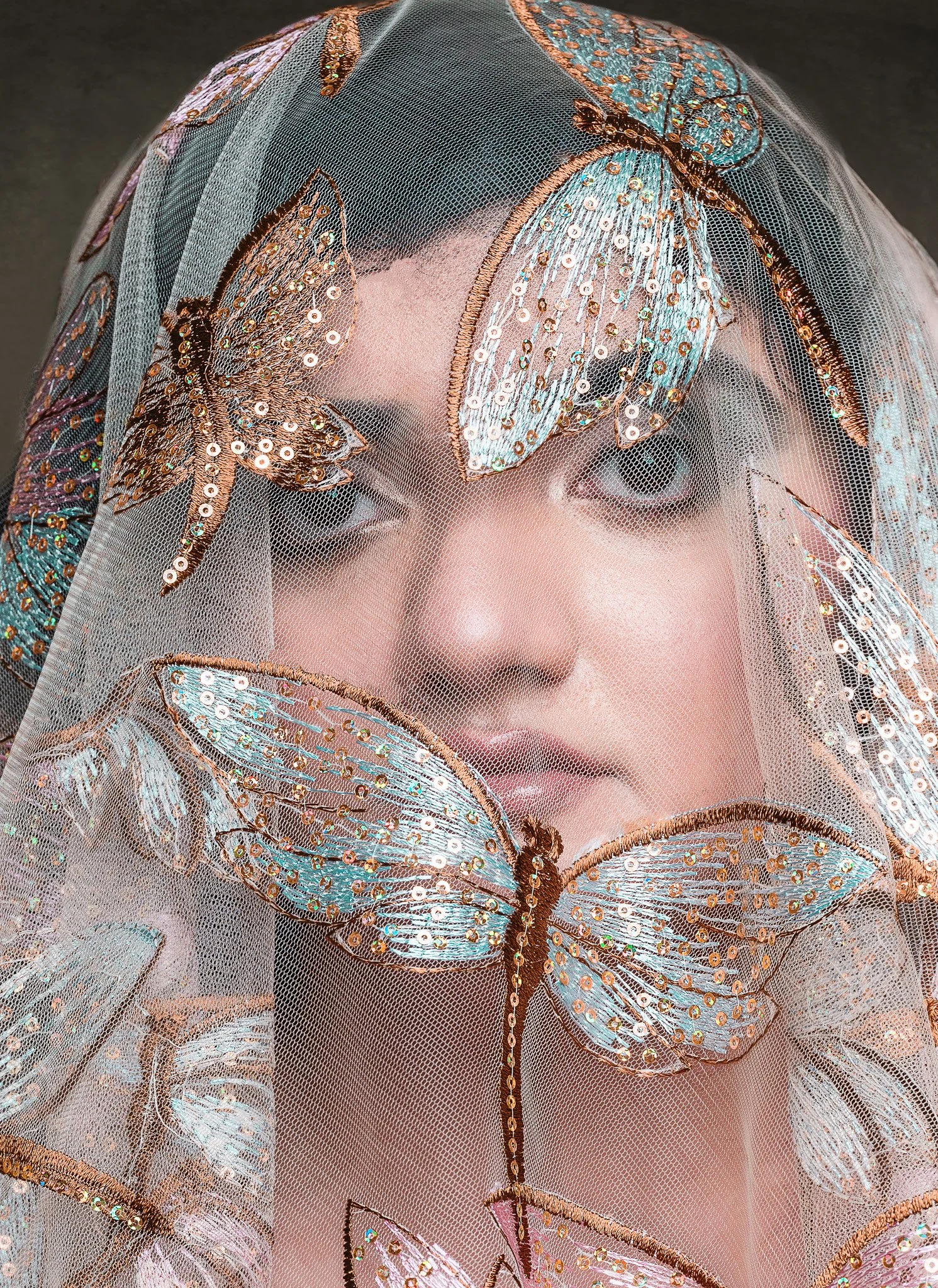 Fine Art Butterfly Veil Portrait