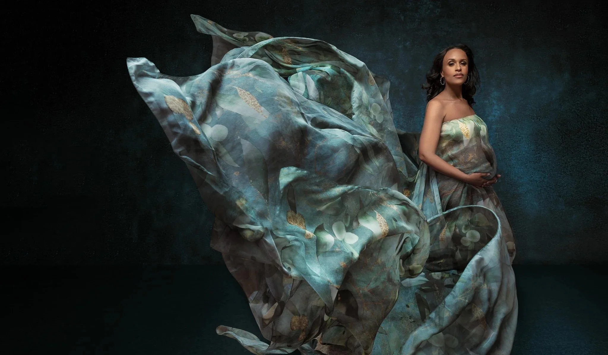 Fine Art Maternity Portrait with Flowing Gown