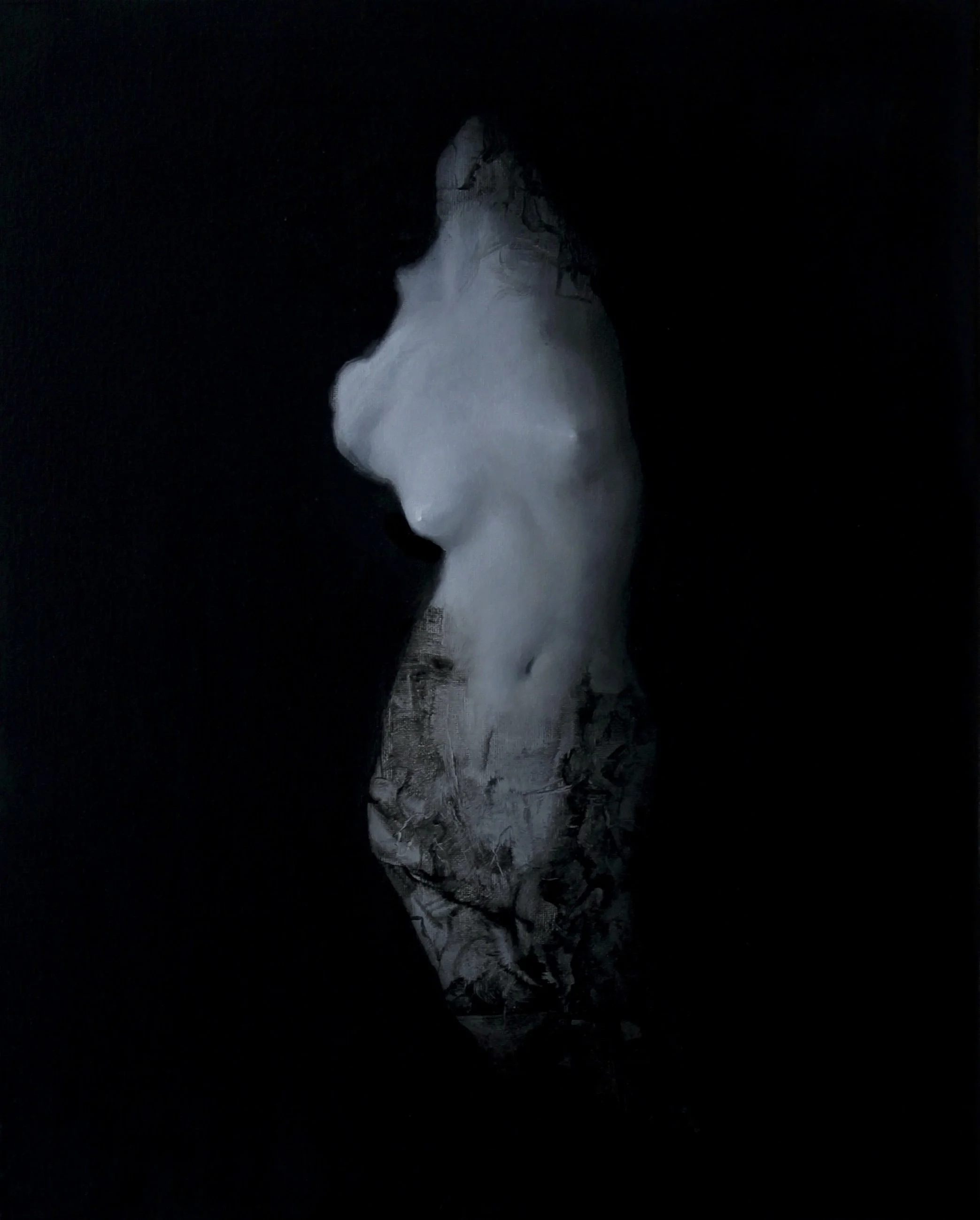 Torso X
Oil on canvas
18" x 24"
2026