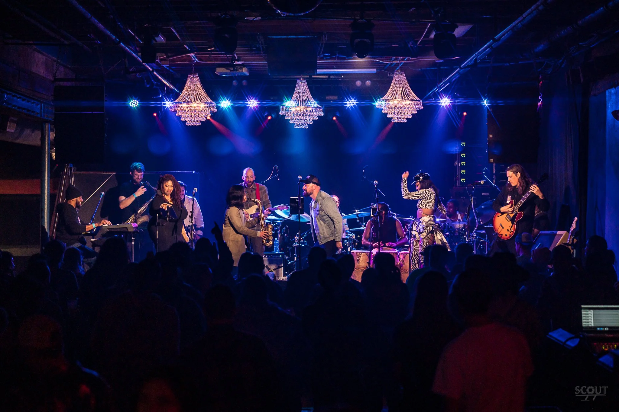 KOWAN n CO-CERVS-08405.JPG