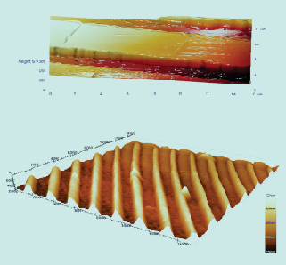 AFM Tip Scanning Result