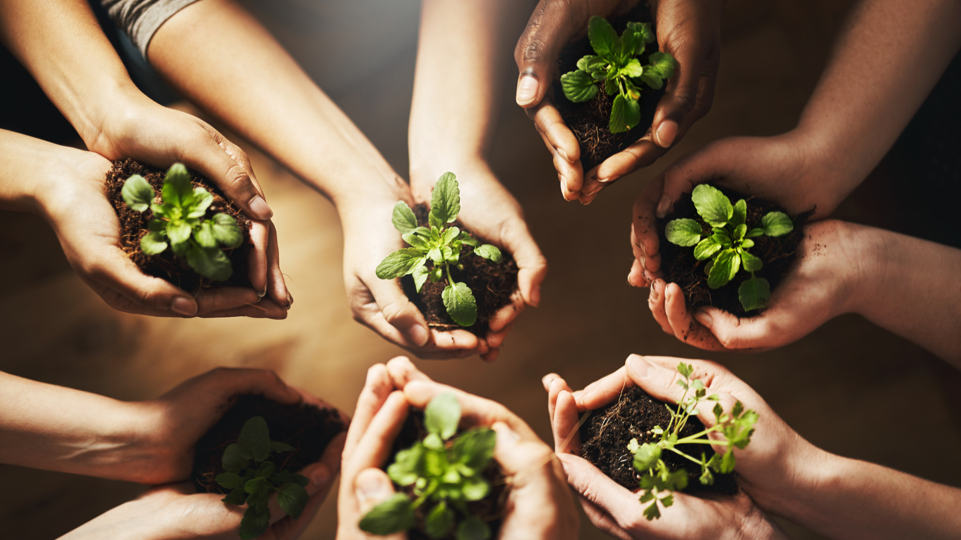 Rooted in Difference: Cultivating Sustainable Growth