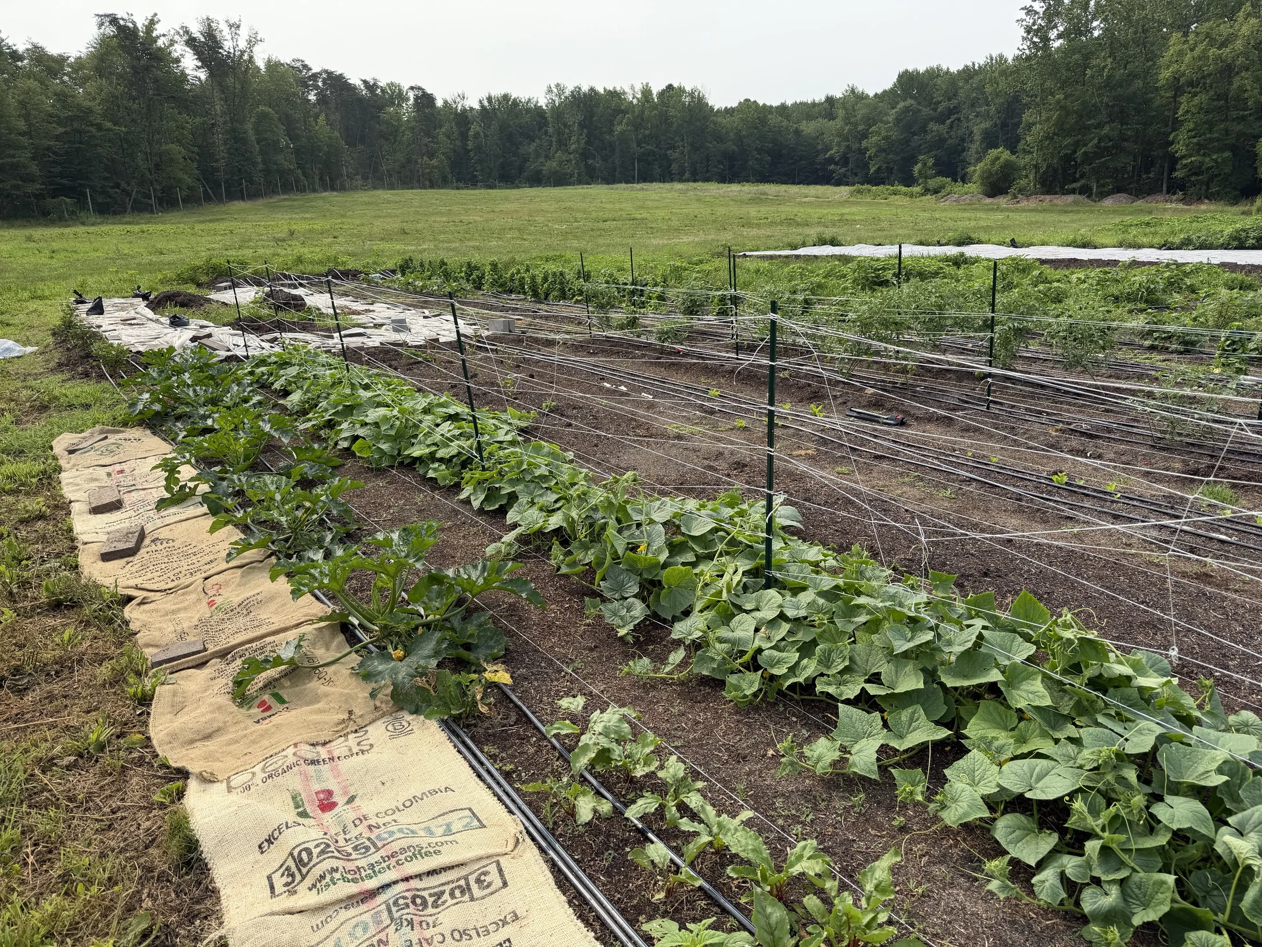 Cultivating Resilient Systems: Leadership, Land, and Community