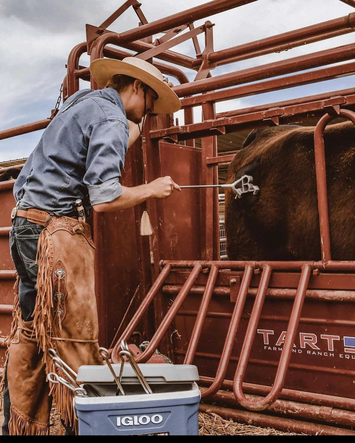 I designed our brand when I was a kid, it was my dream to have a family ranch that ethically raised animals who are loved, cared for and have acres to roam. That is what our brand represents, our family and animals are living one of the oldest Americ