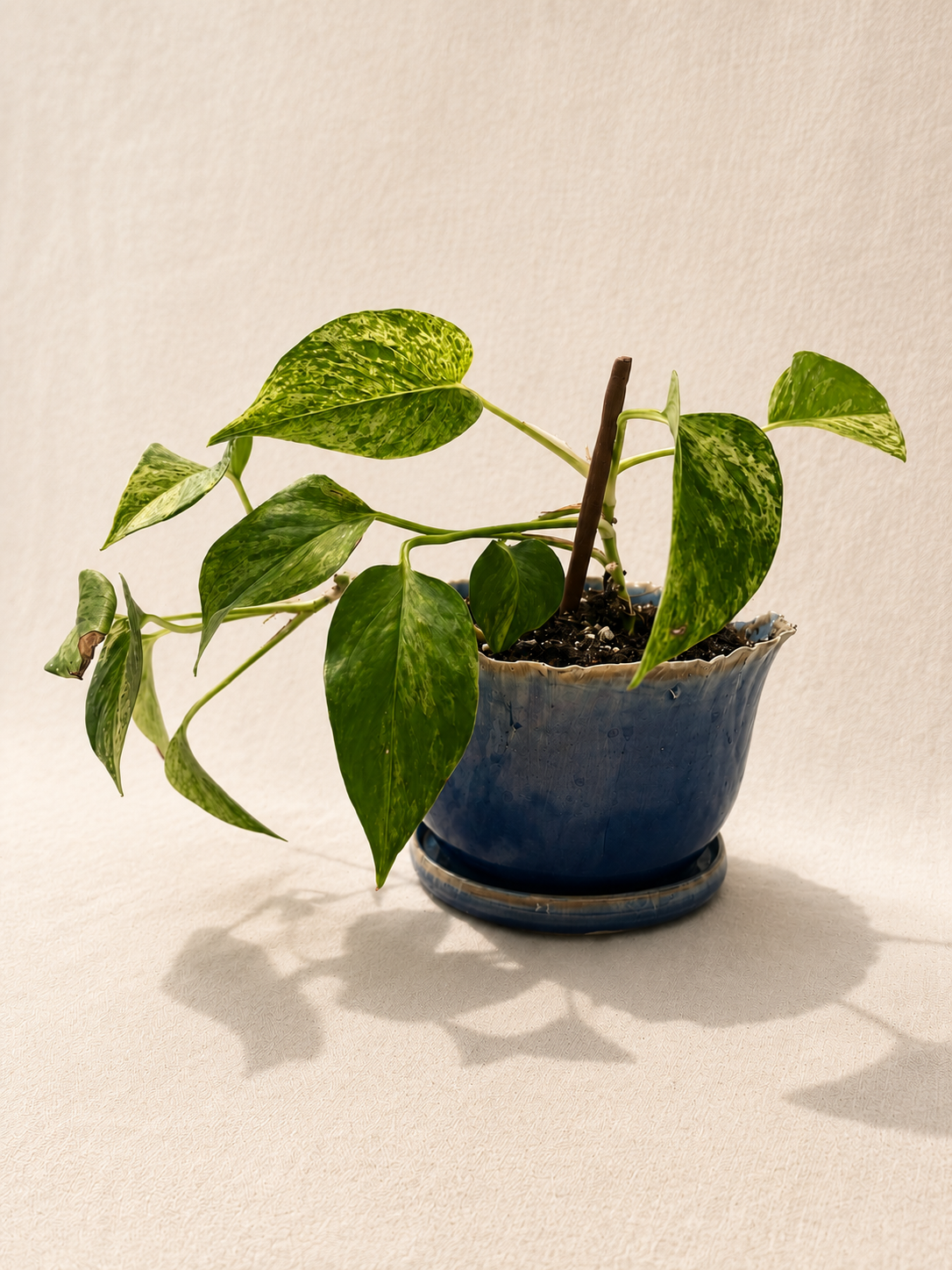 Deep Blue Planter
