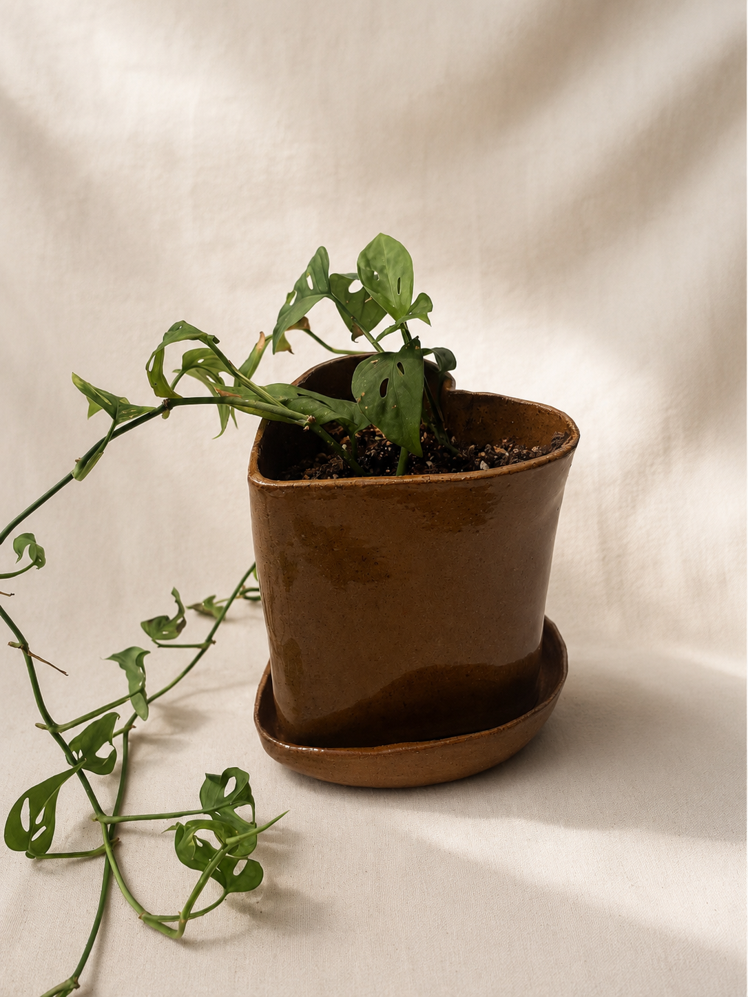 Heart Planter