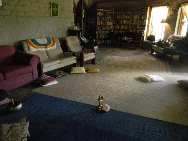 Living room with various chairs, a bookshelf filled with books, a rug, and pillows on the floor, with sunlight coming through windows.