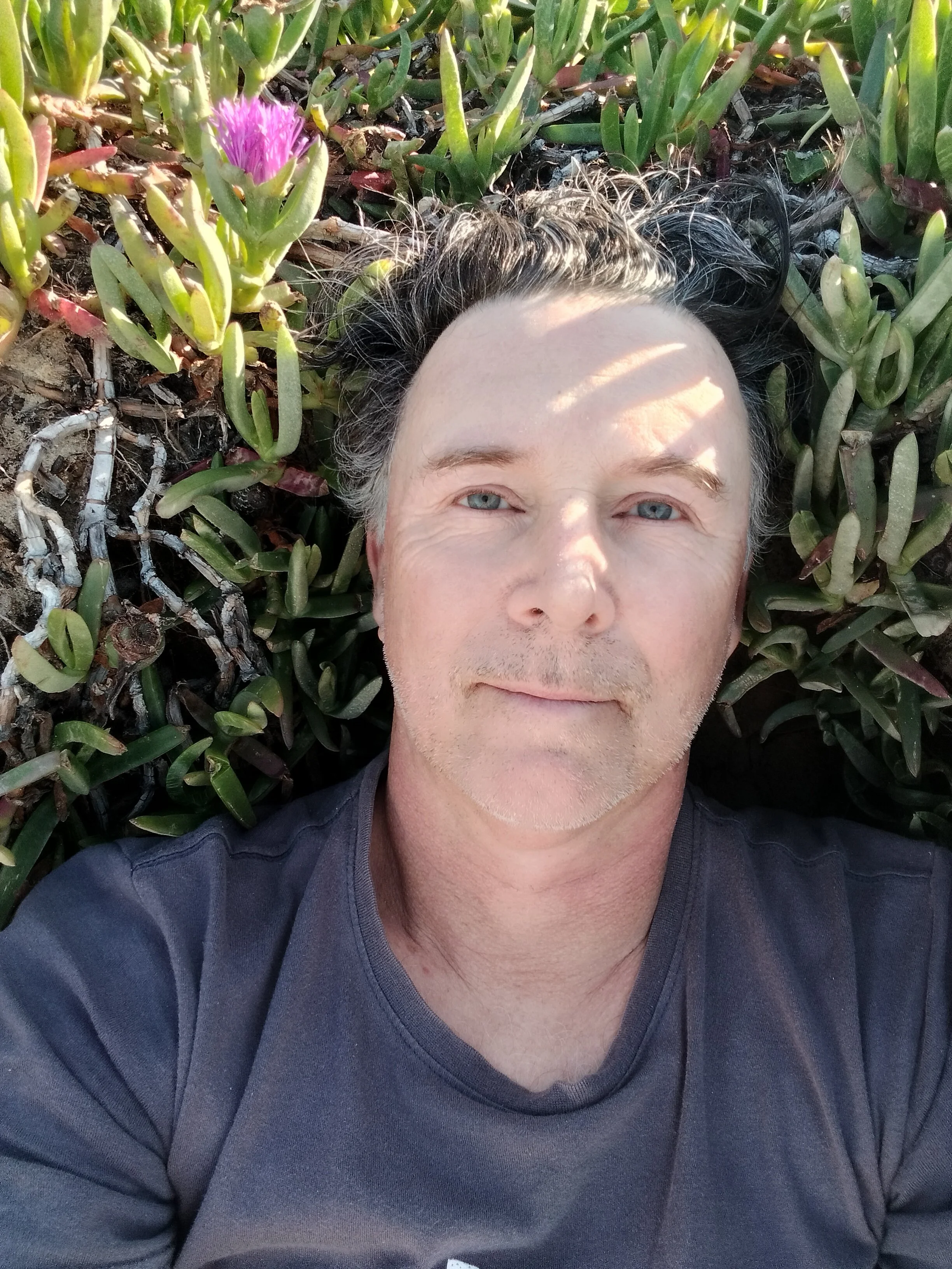 A middle-aged man with blue eyes and grayish black hair lying on green plants with purple flowers, wearing a dark gray shirt.