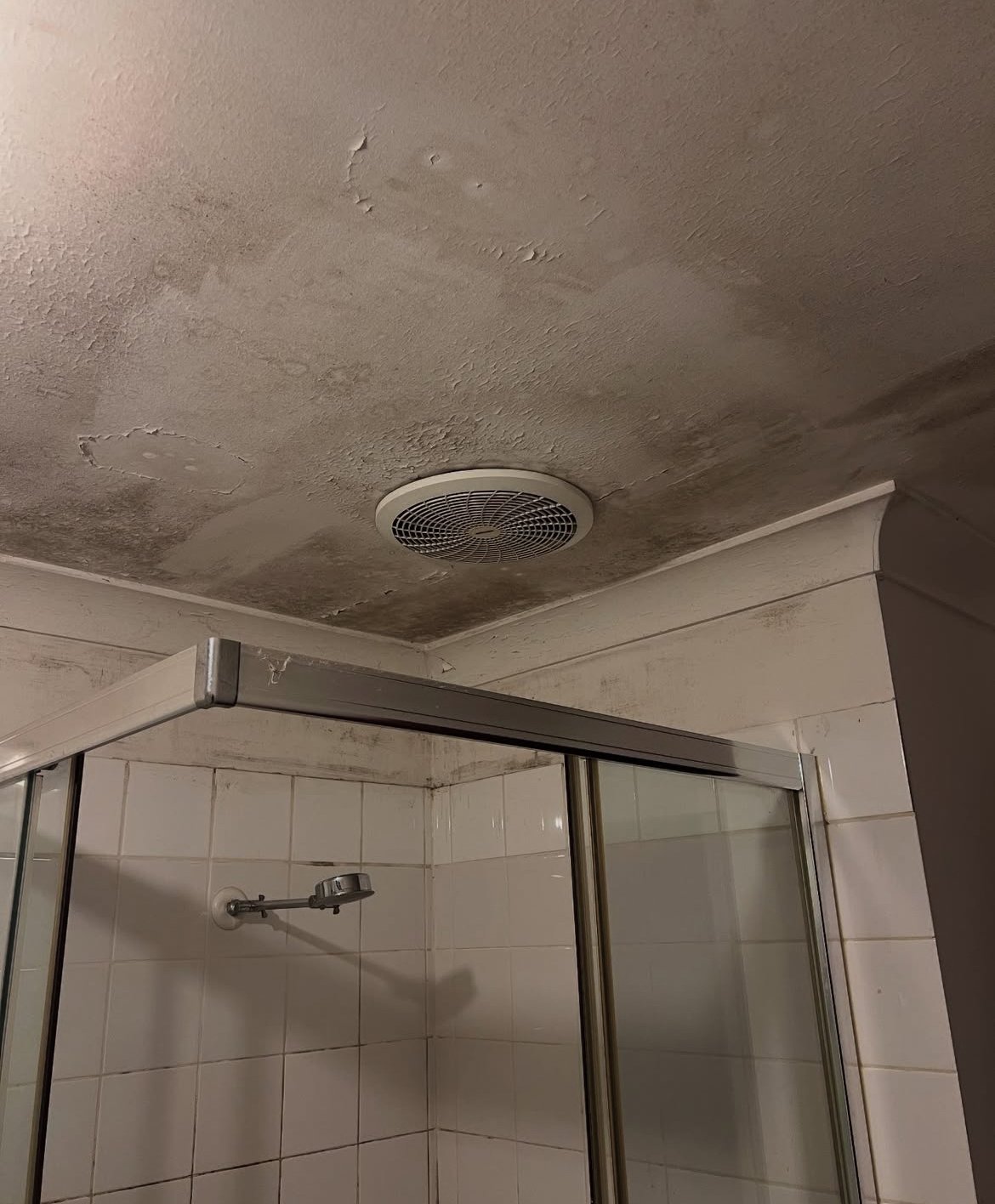 Ceiling in a bathroom with peeling paint and water stains above a shower with glass doors and a chrome showerhead.