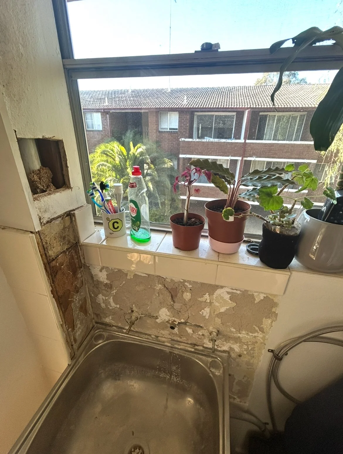 Kitchen window sill with potted plants, dish soap, and toothbrushes, overlooking apartment buildings and palm trees outside.