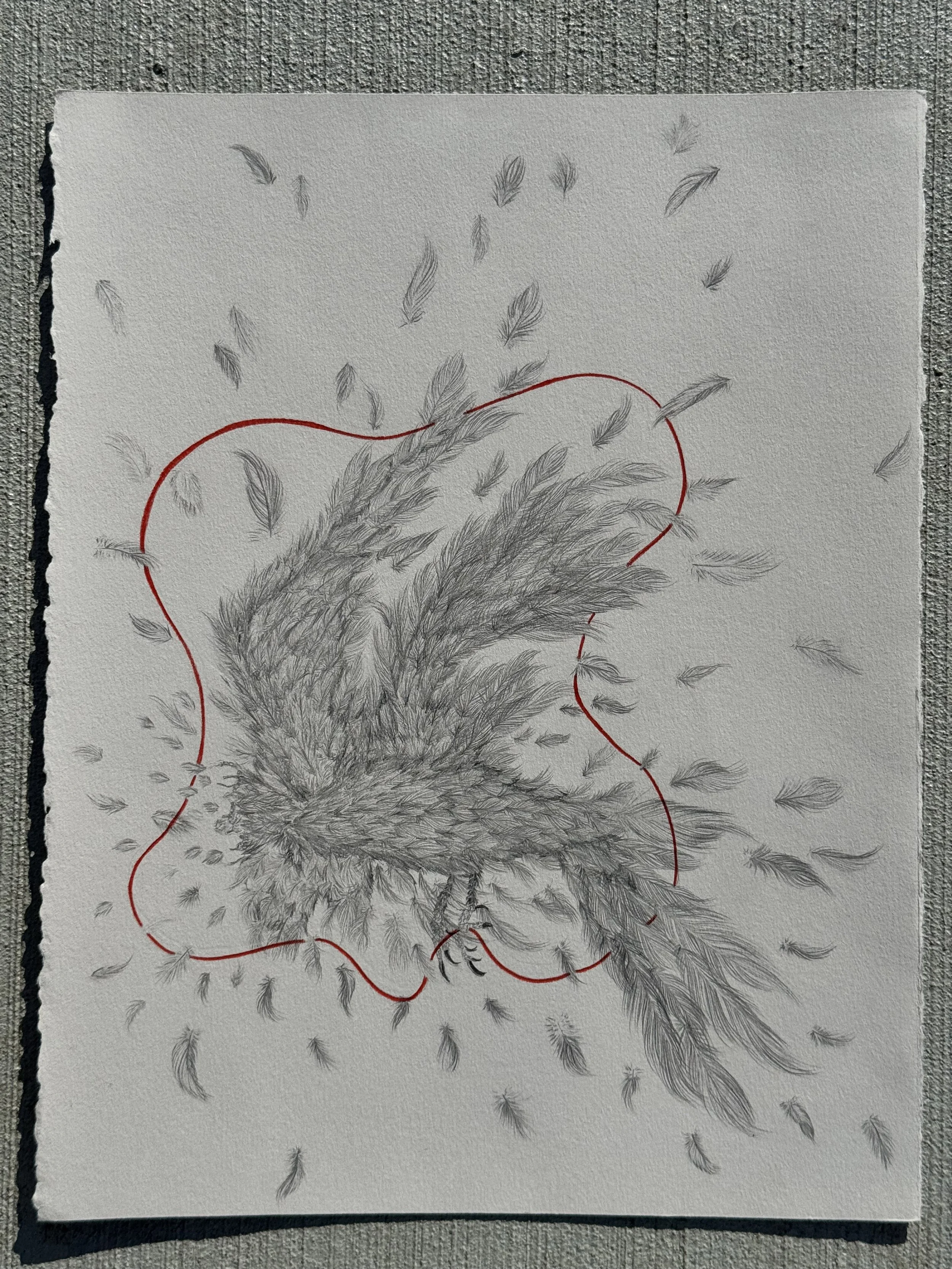 Graphite pencil on paper