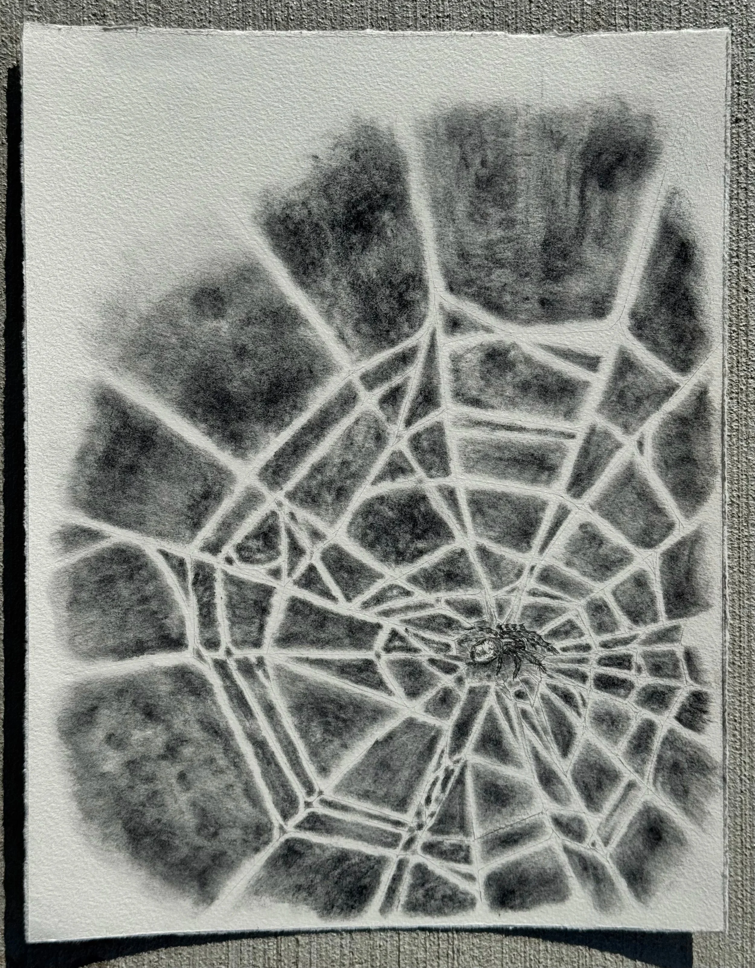 weave, 26 cm x 33.5 cm, 2026