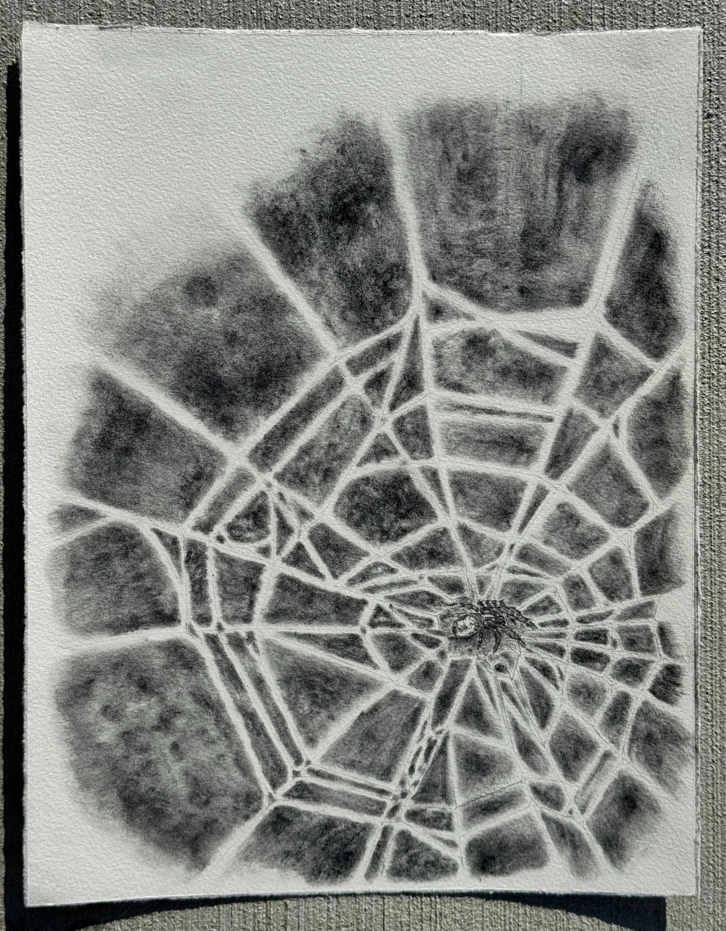 Graphite powder and pencil on paper