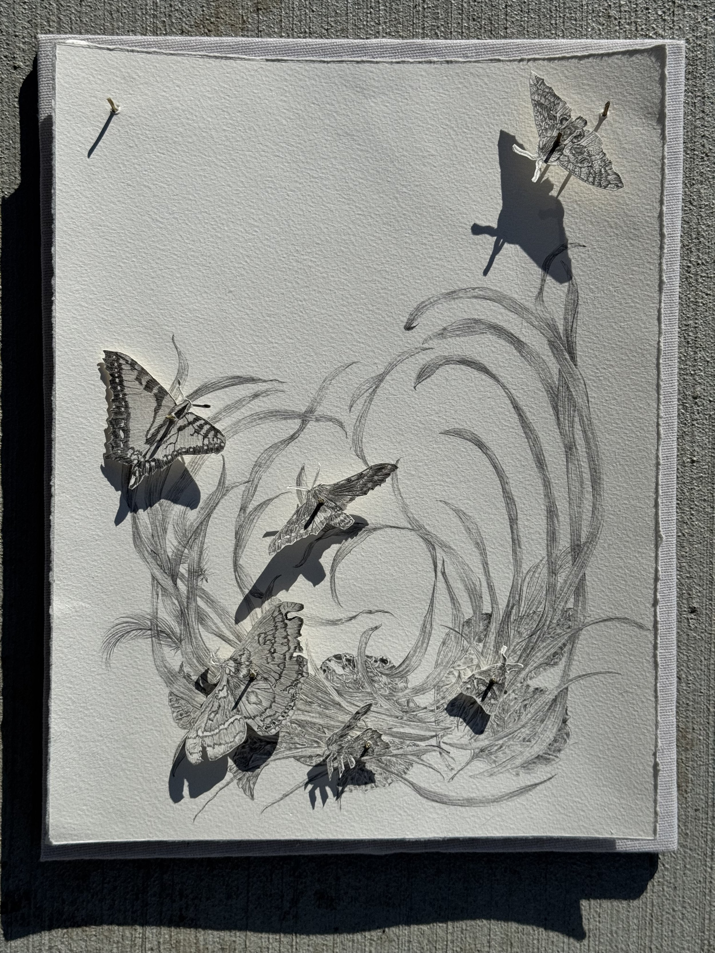 Graphite pencil on paper with handmade brass nails