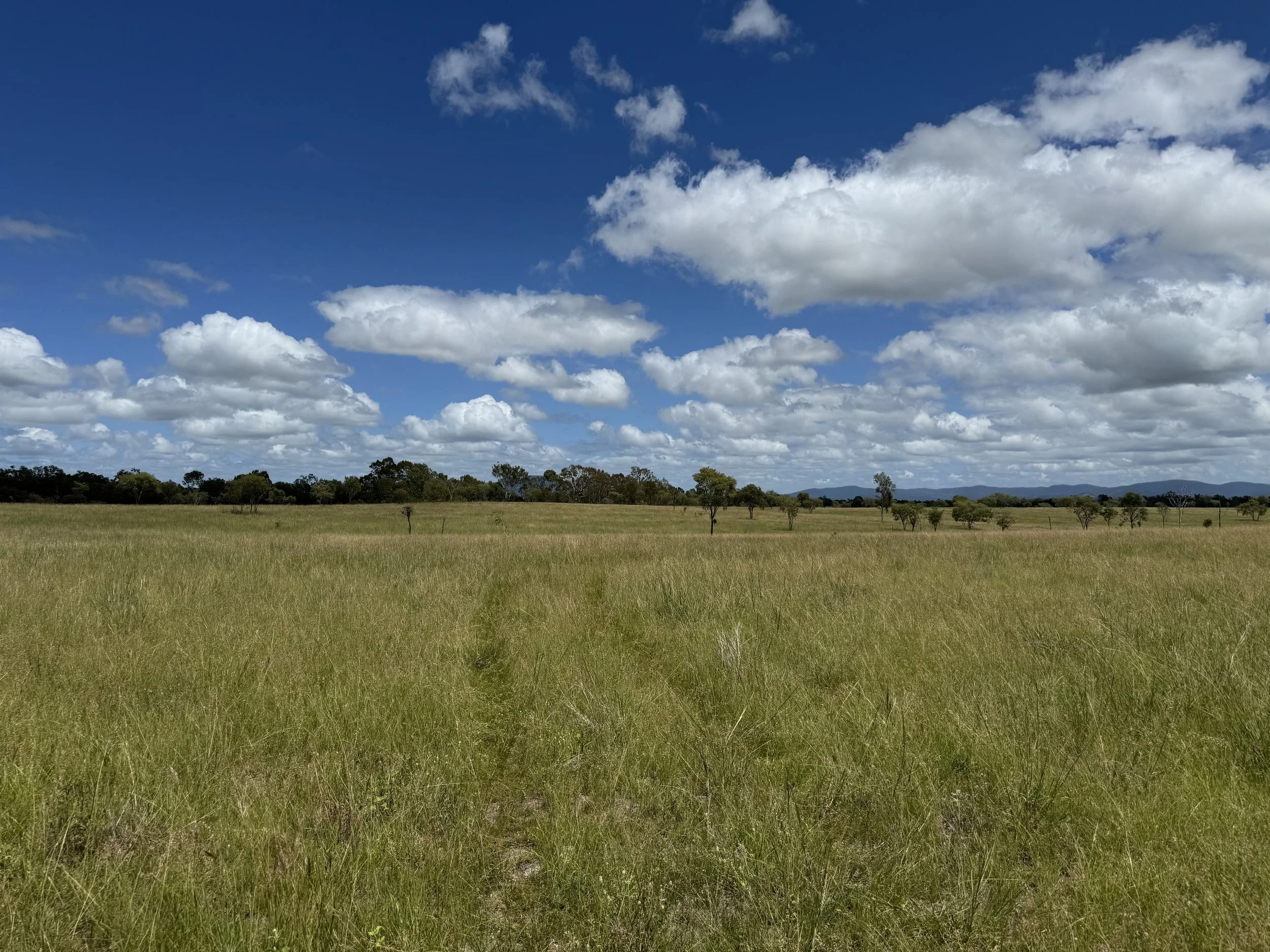 EPBC referral now open for public comment