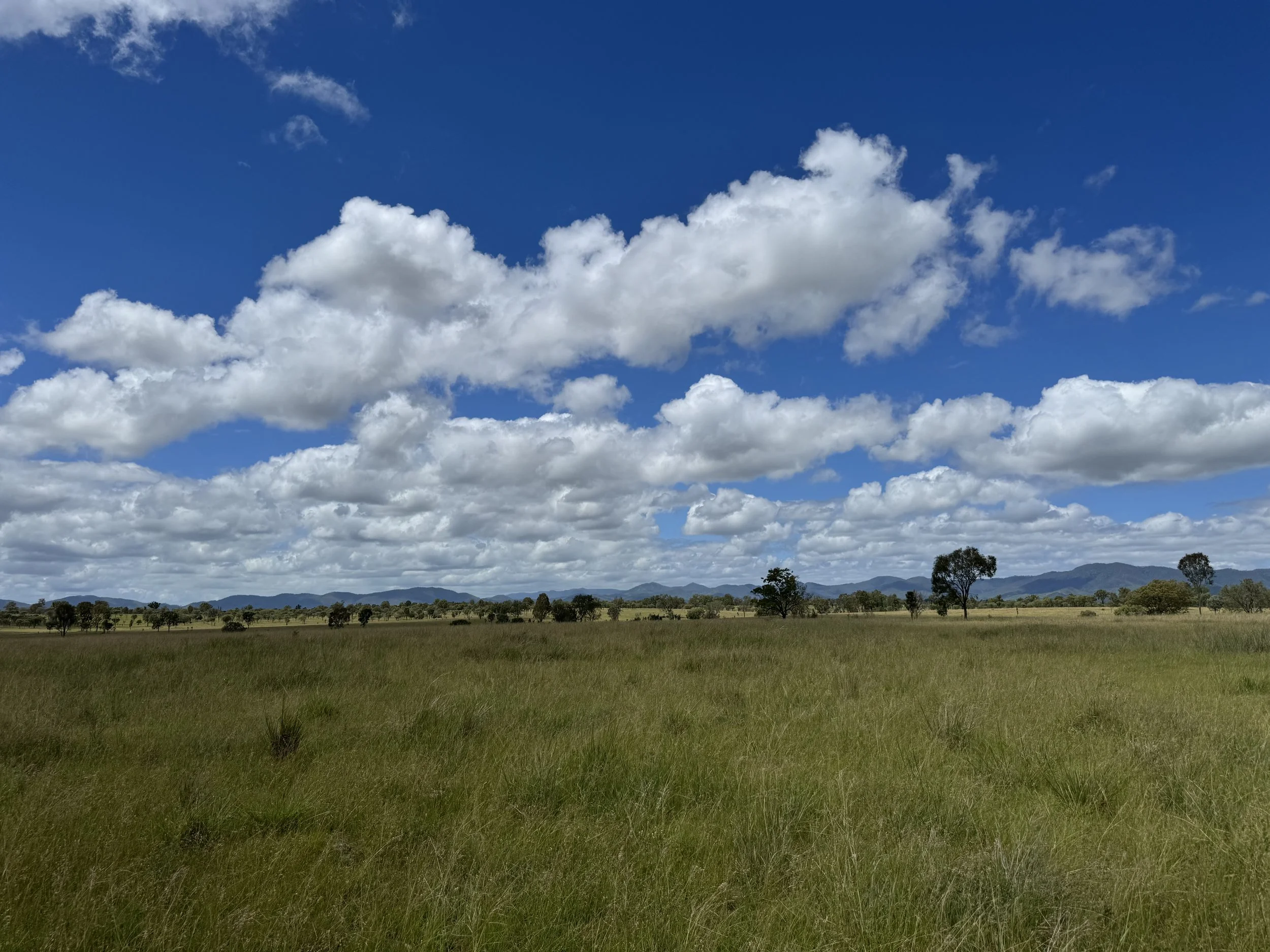 EPBC Referral Decision: Not a Controlled Action