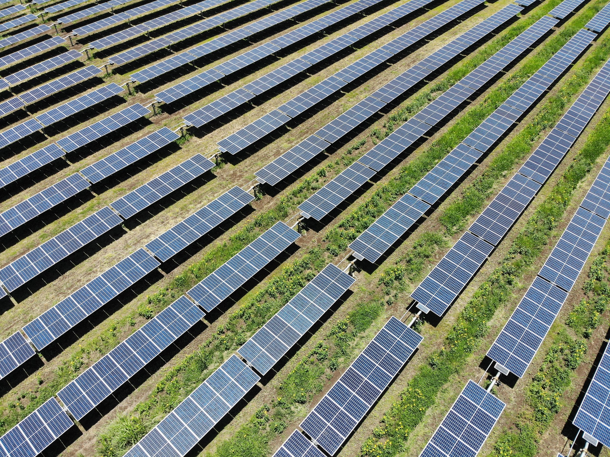 Wooderson Solar Farm Reaches First Planning Milestone