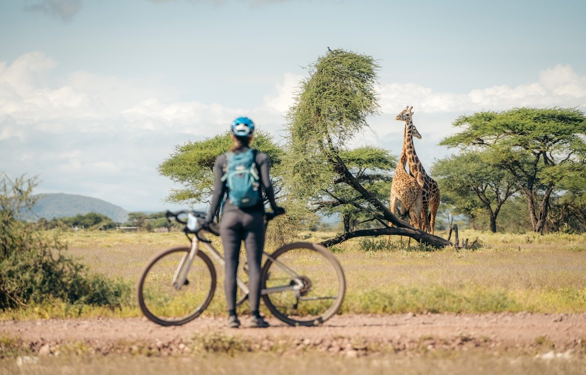 GravelGiraffes_1200.jpg