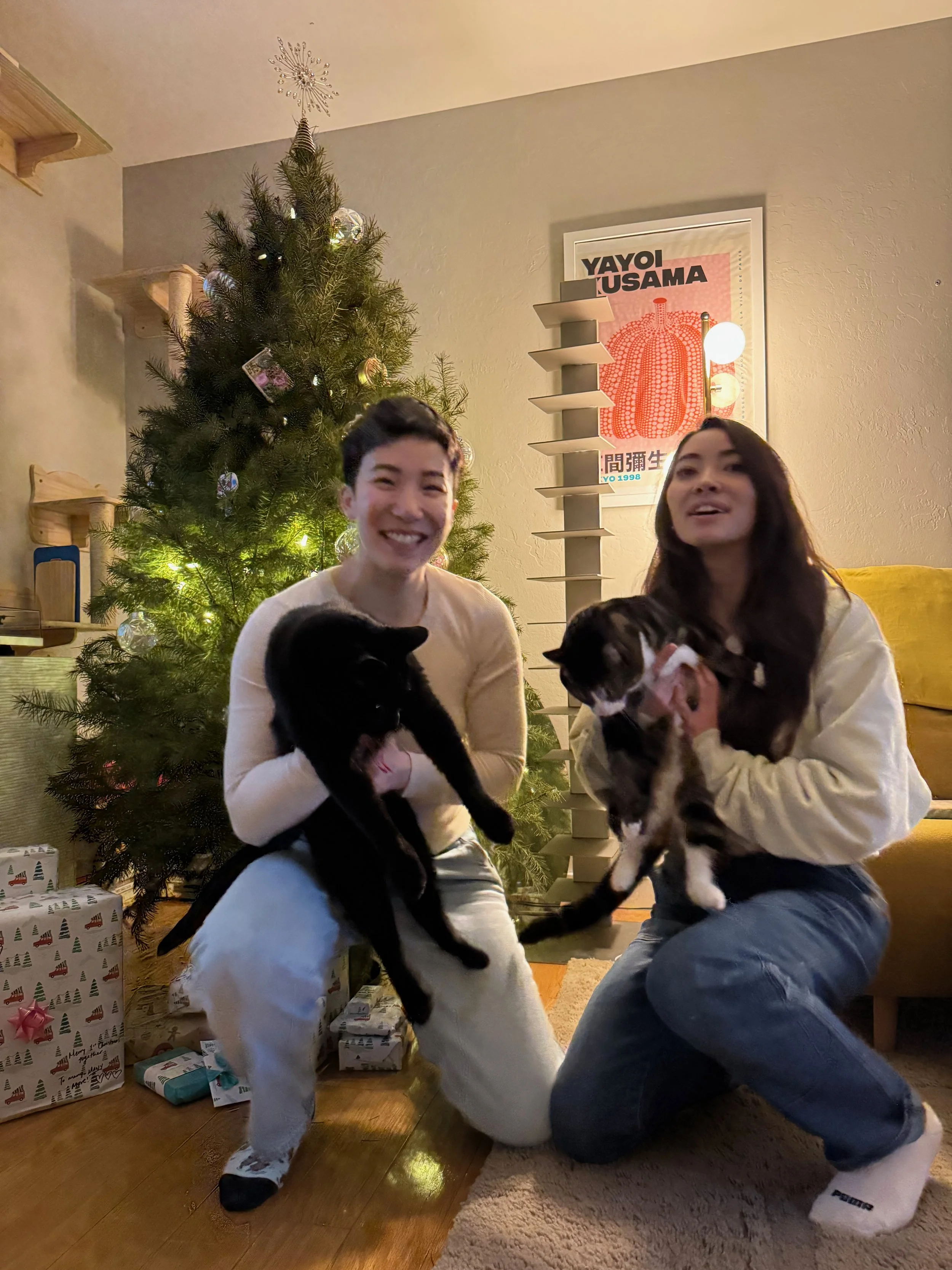 a new household full of cuteness