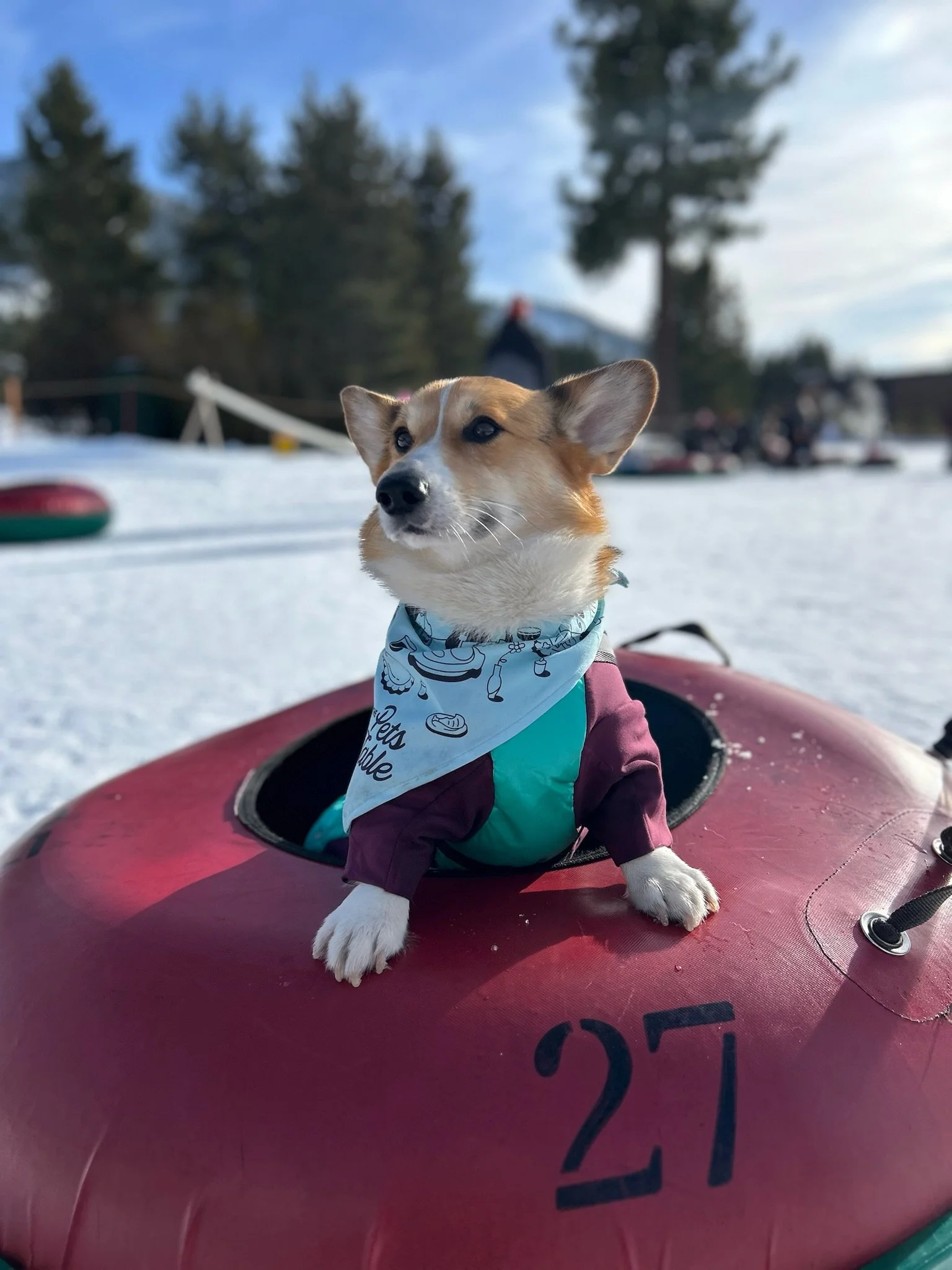 my parents' favorite child