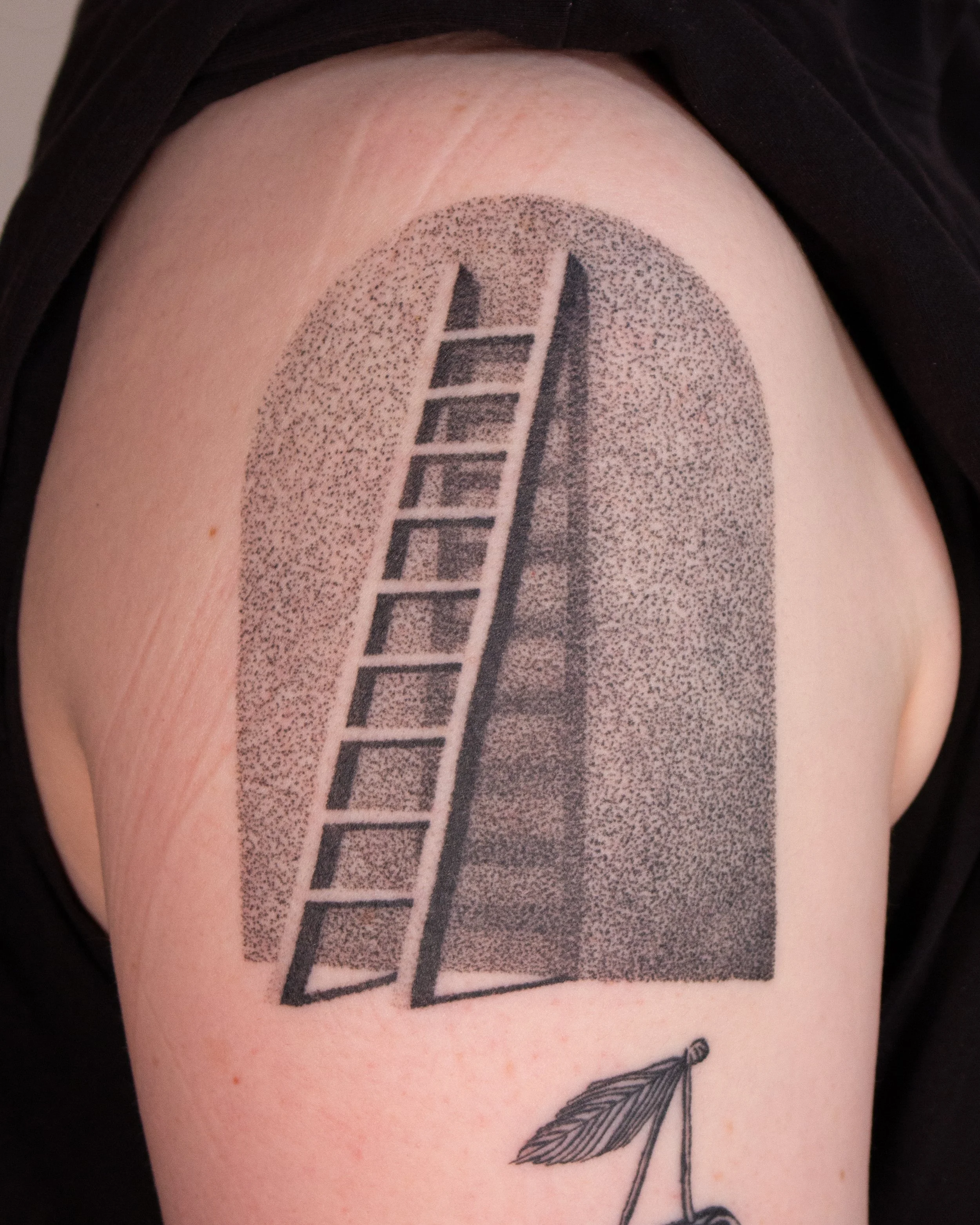 Fully healed, 3 weeks old.