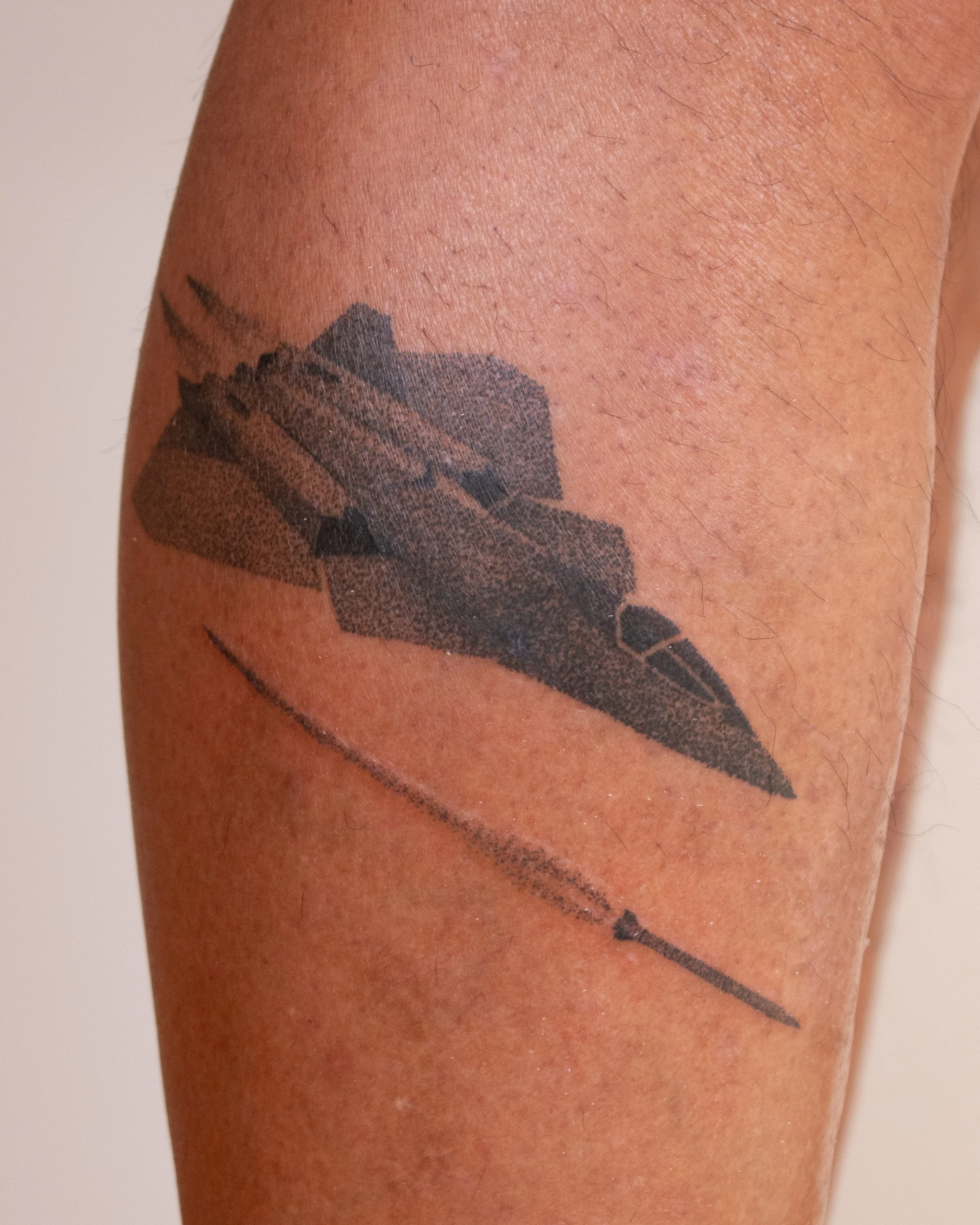 Fully healed jet, 4 weeks old. Fresh missile.