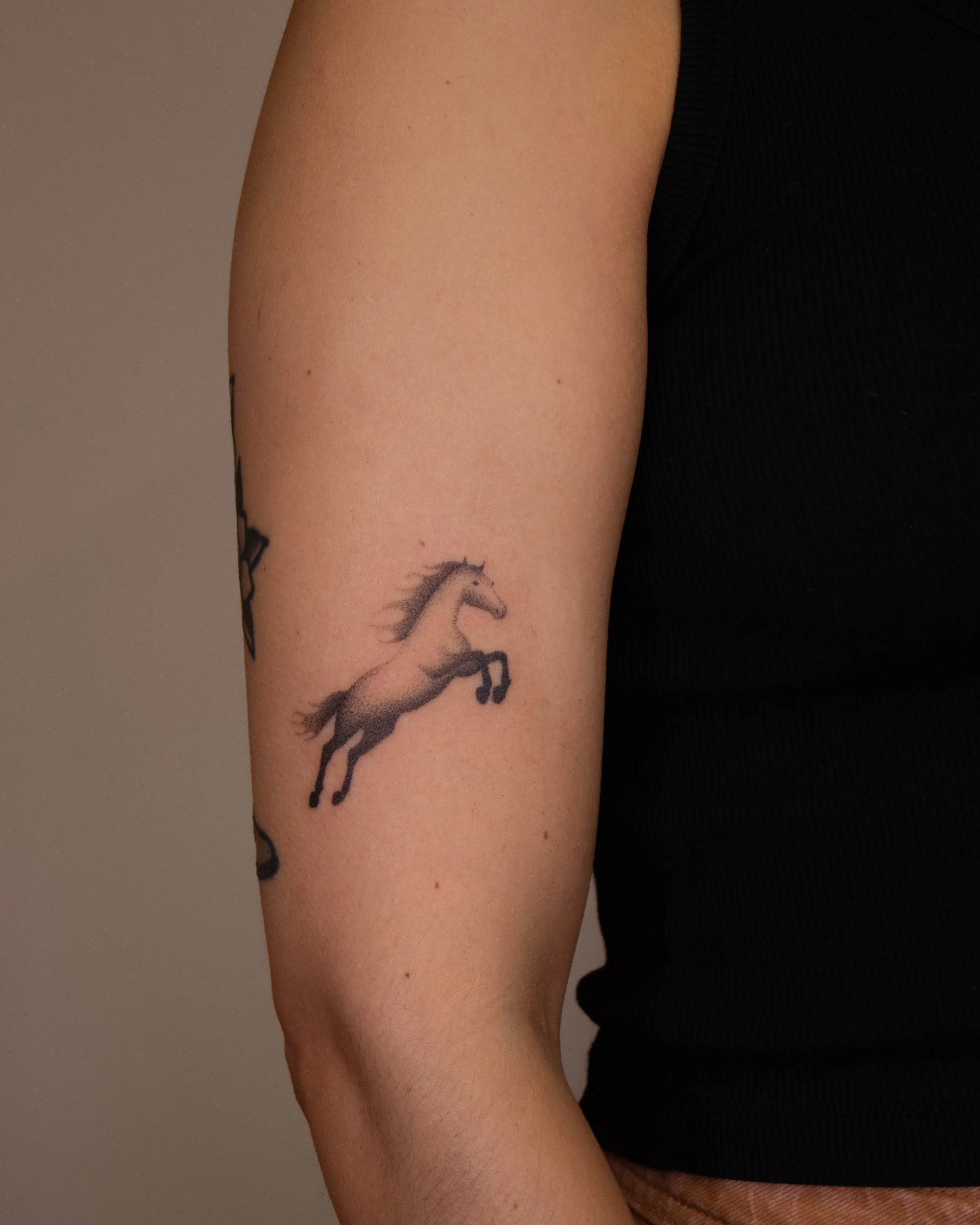 IMG_8188.jpg
