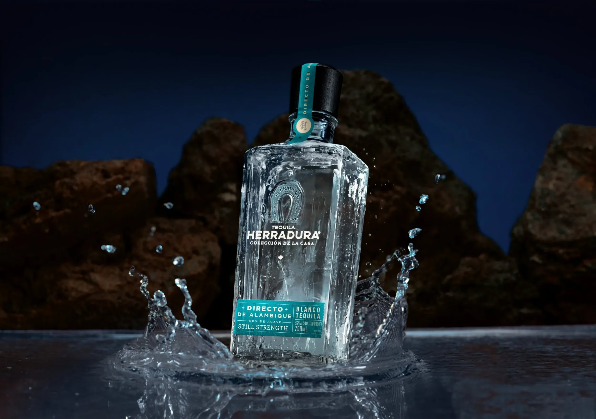 Herradura_BFHD2562S_OMPS-P00294390C30_R15_VALENTINO_SPLASH_303-scaled.webp