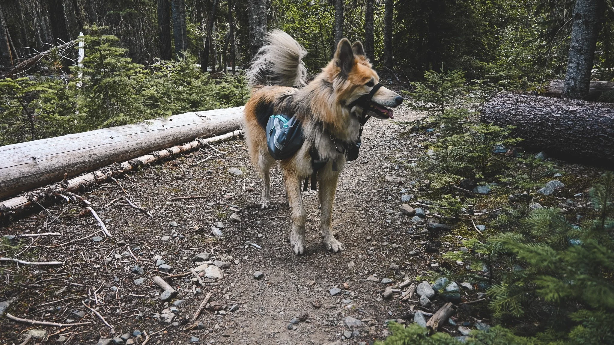 DSC_1046.jpg
