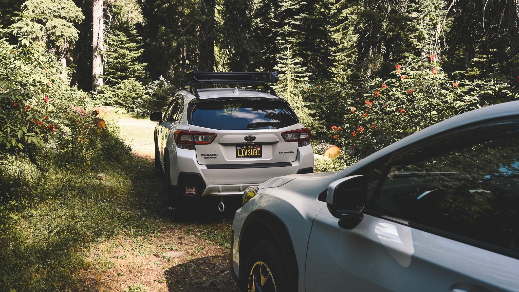 DSC_1122.jpg