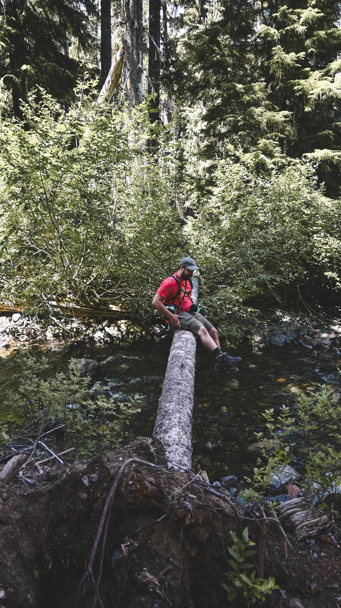 DSC_1099.jpg