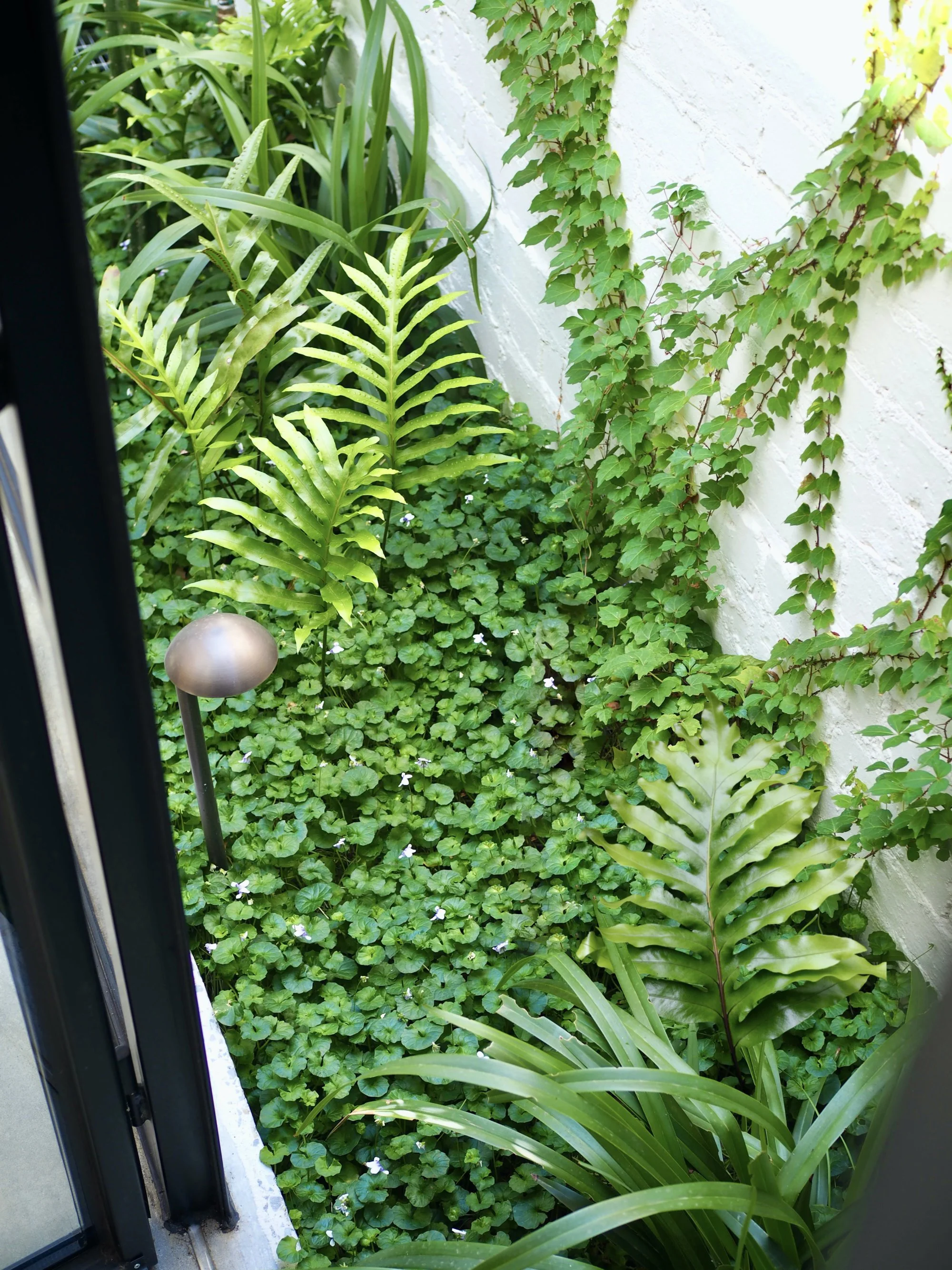 Olaver - Courtyard - 1.jpg