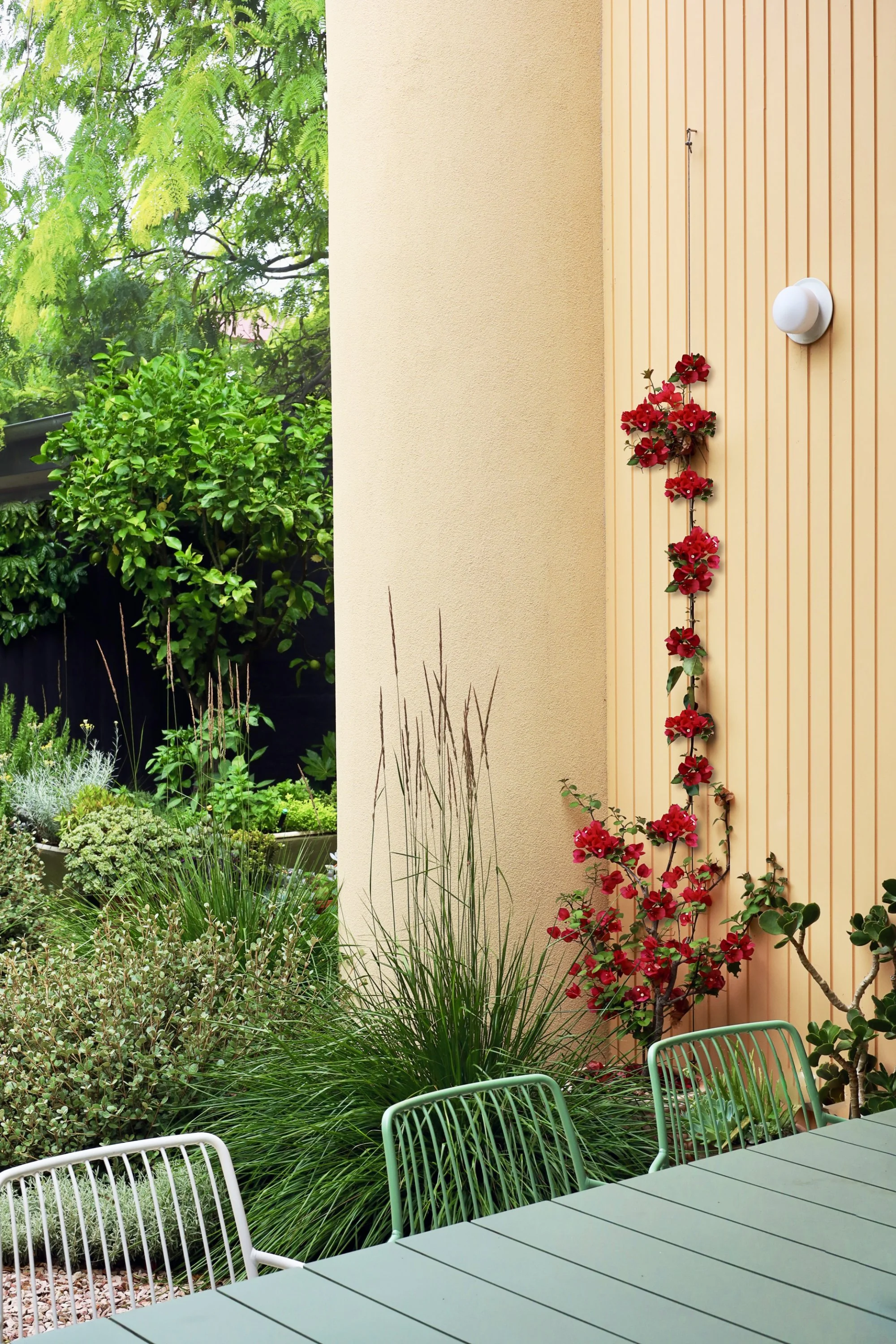 Wowowa-Wrongchamp - Garden-8.jpg