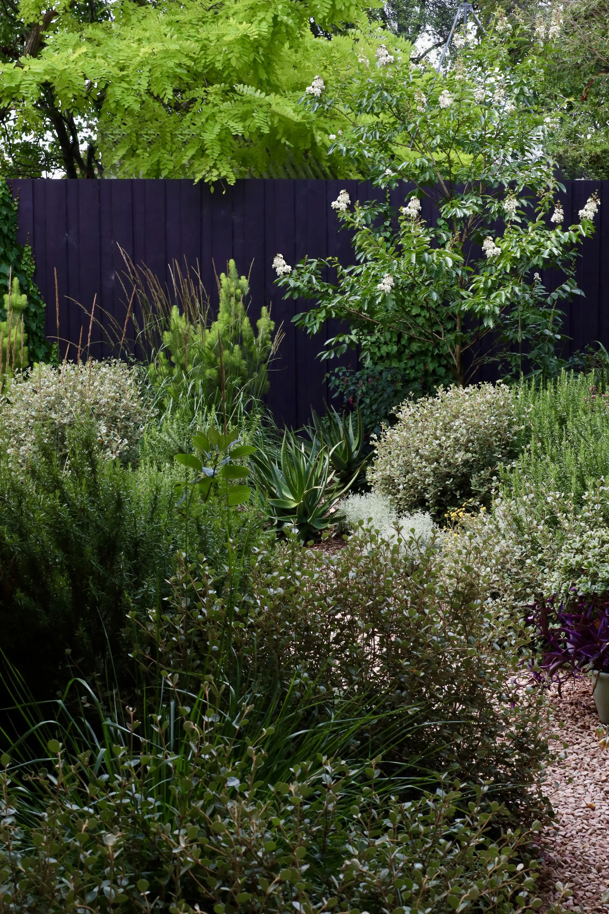 Wowowa-Wrongchamp - Garden-5.jpg