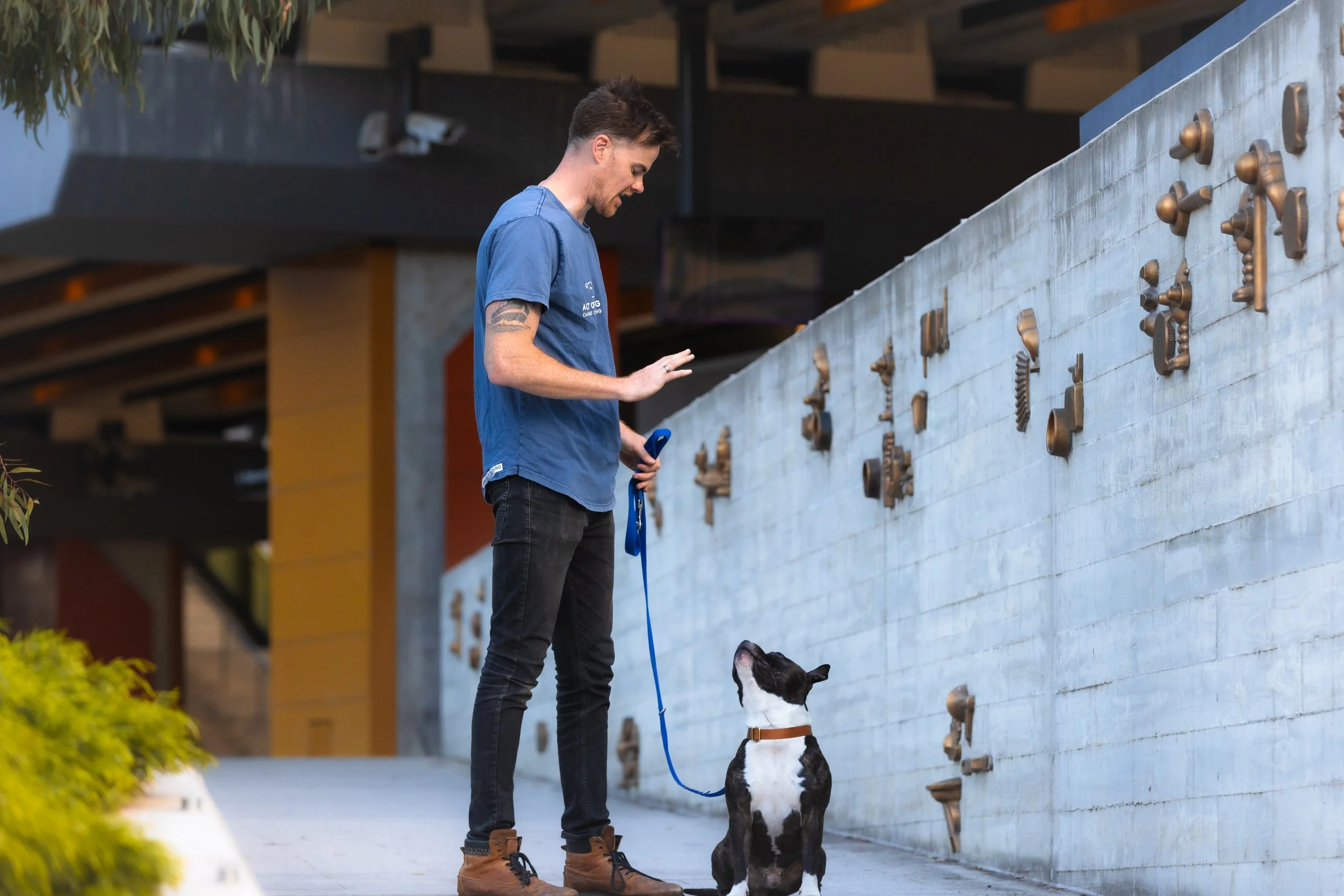 So… You Adopted a Rescue Dog. Now What?