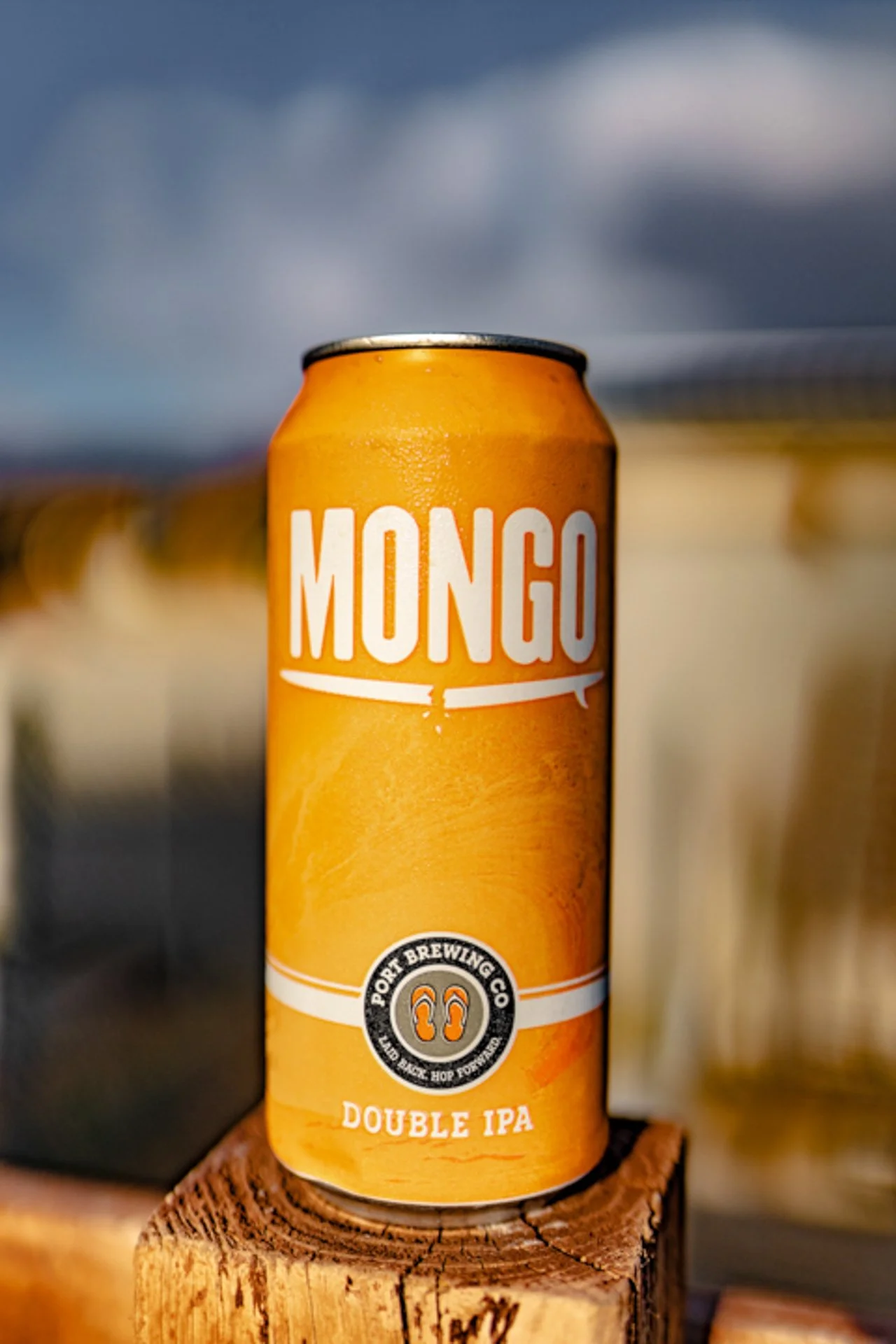 BIERWAREHOUSE_AGOSTO1-4.jpg