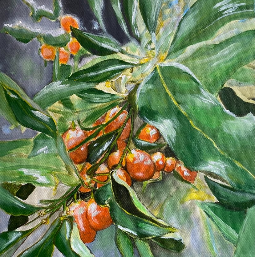 Kumquats